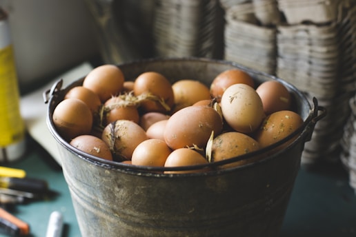 Fresh milk bottle and farm eggs arranged on a rustic wooden table with a green pasture background.