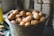 A rustic metal bucket filled with brown eggs is placed on a table. Some eggs have specks of dirt and straw attached, suggesting they are freshly gathered. The background displays blurred stacks of cardboard egg trays, emphasizing a farm-like environment.
