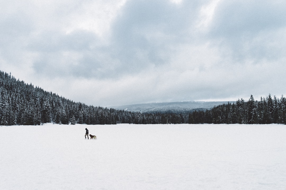 travelers stories about Mountain in Trillium Lake, United States