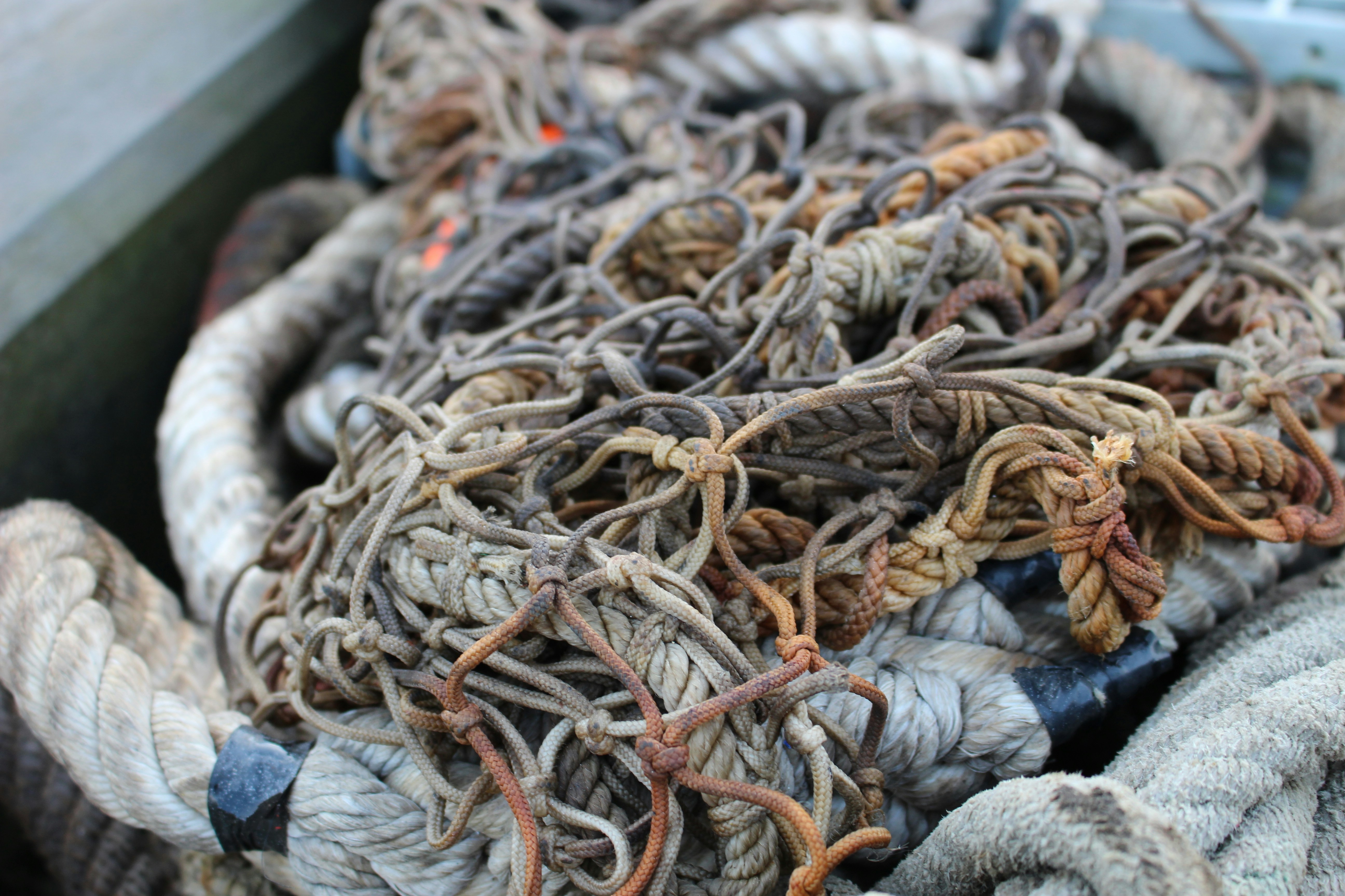 Free Unsplash photo from Alex Iveson