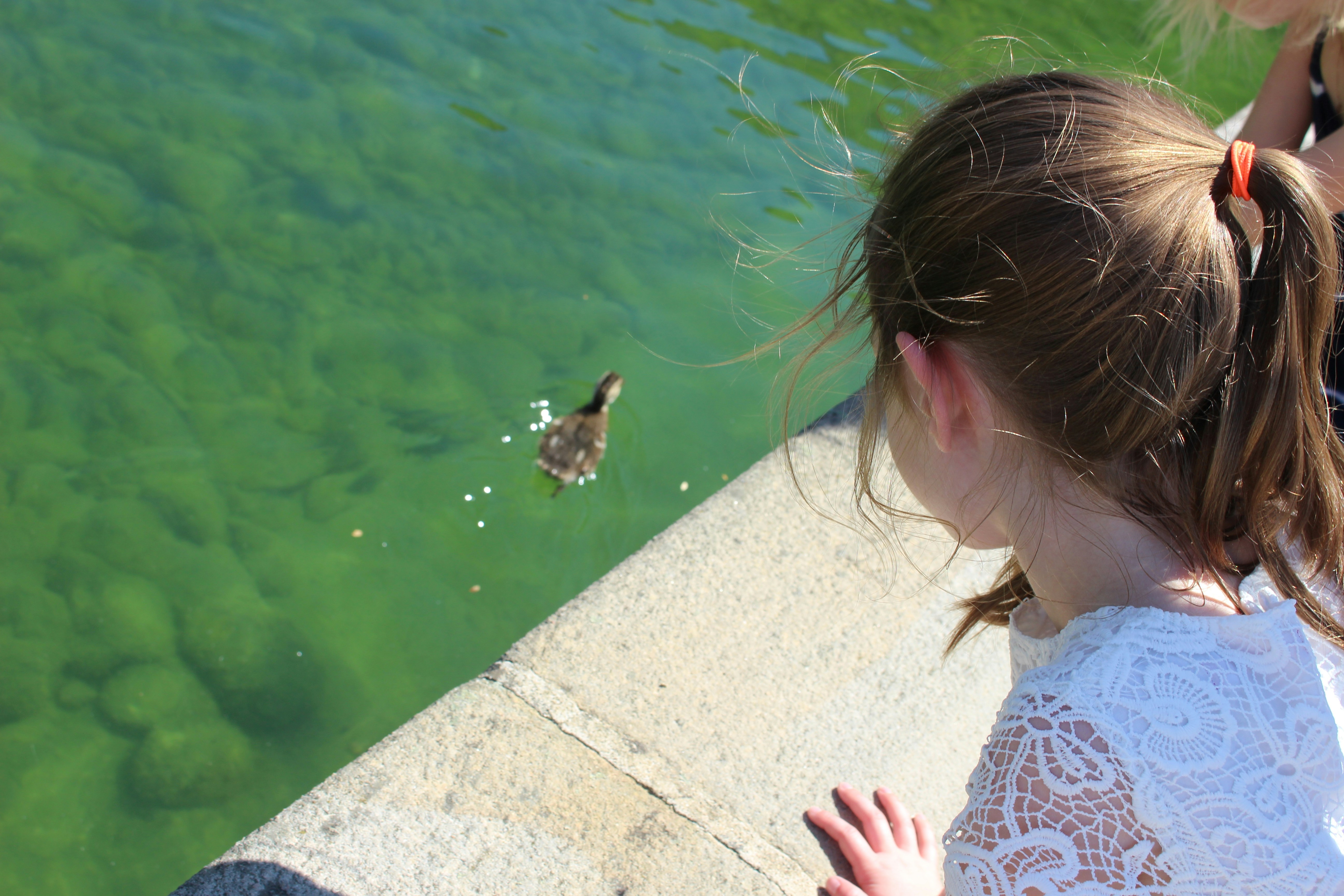 Free Unsplash photo from Alex Iveson