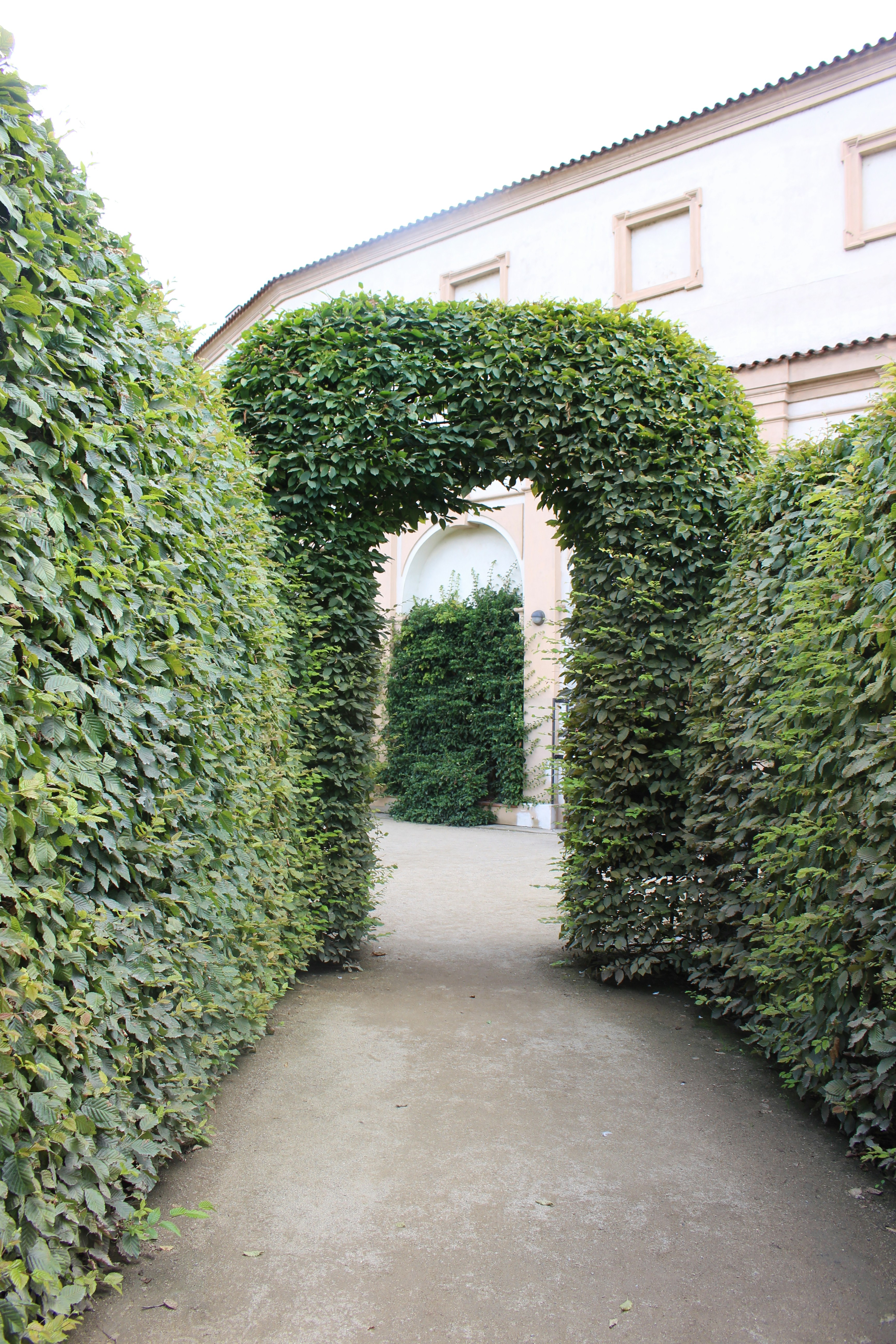 Free Unsplash photo from Alex Iveson