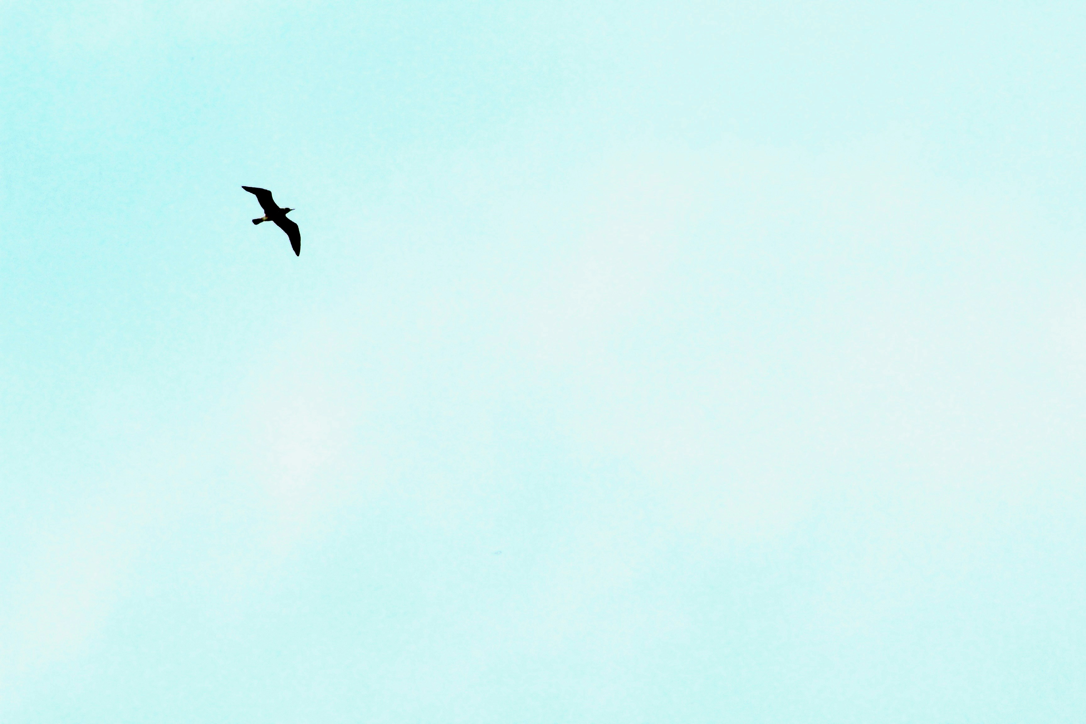 Free Unsplash photo from Idriss Arin