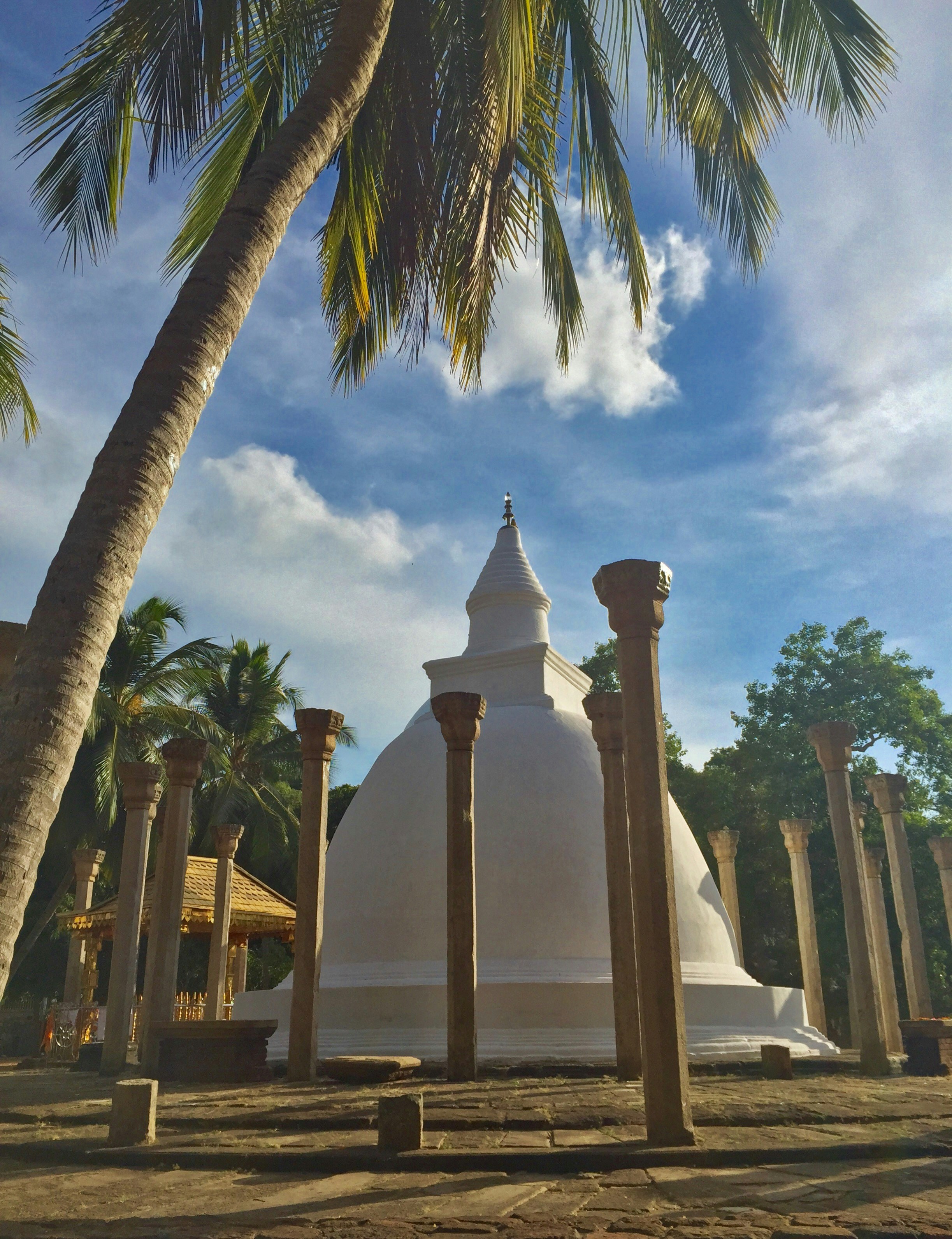 Free Unsplash photo from Stijn de Vries