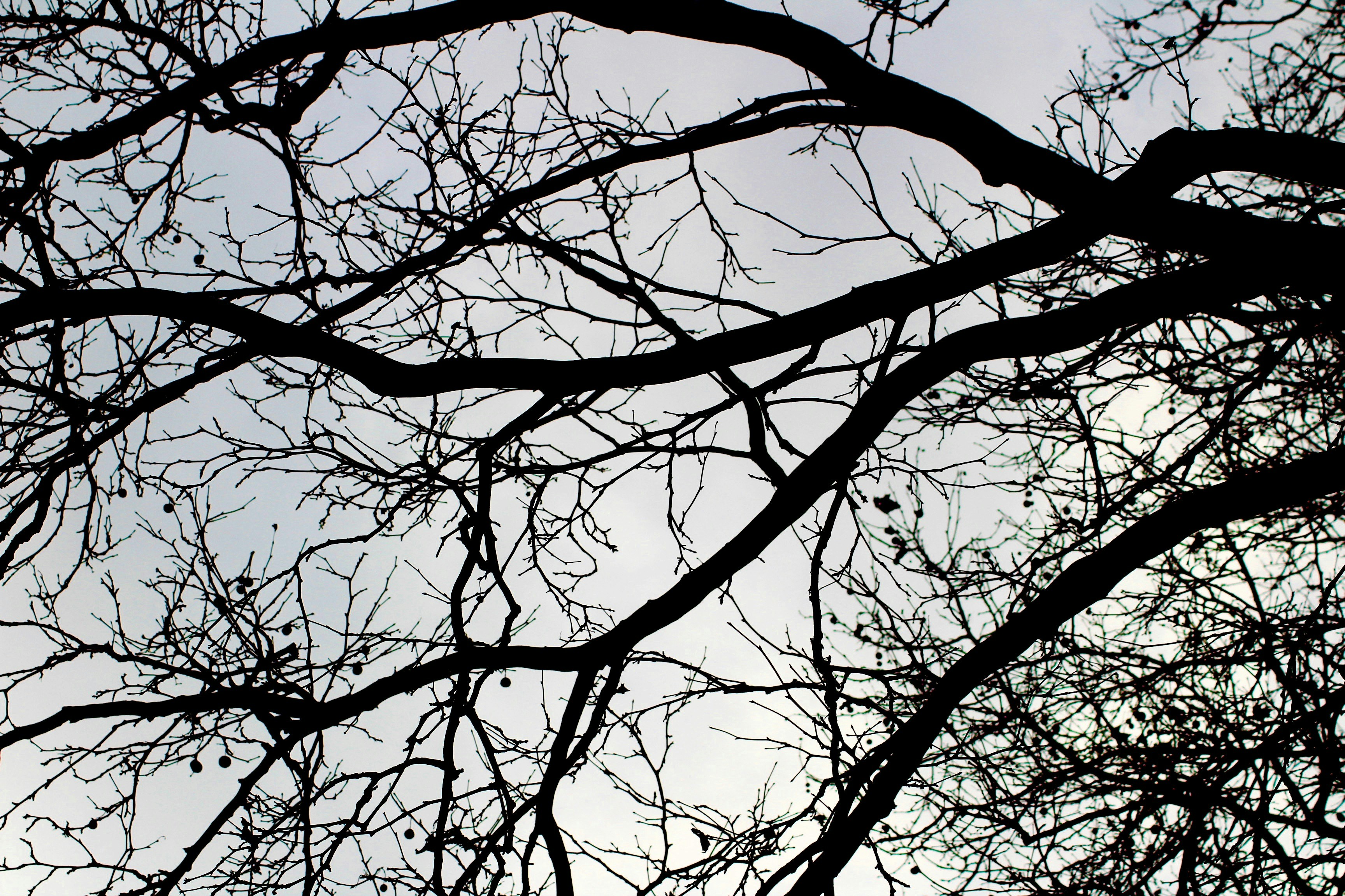 Free Unsplash photo from Idriss Arin