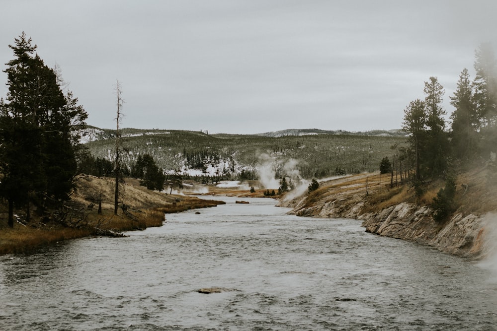 Río de agua cerca de un campo de hierba