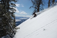 A skier expertly navigates down a steep, snow-covered mountain slope surrounded by tall evergreen trees. The backdrop includes a picturesque view of distant mountain ranges under a clear blue sky with a few scattered clouds. Snow is being kicked up behind the skier, indicating speed and skillful maneuvering.