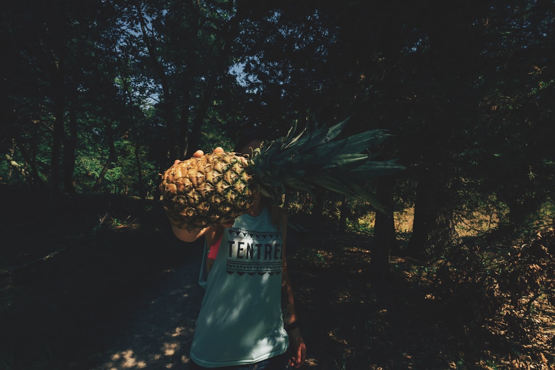 person holding ripe pineapple