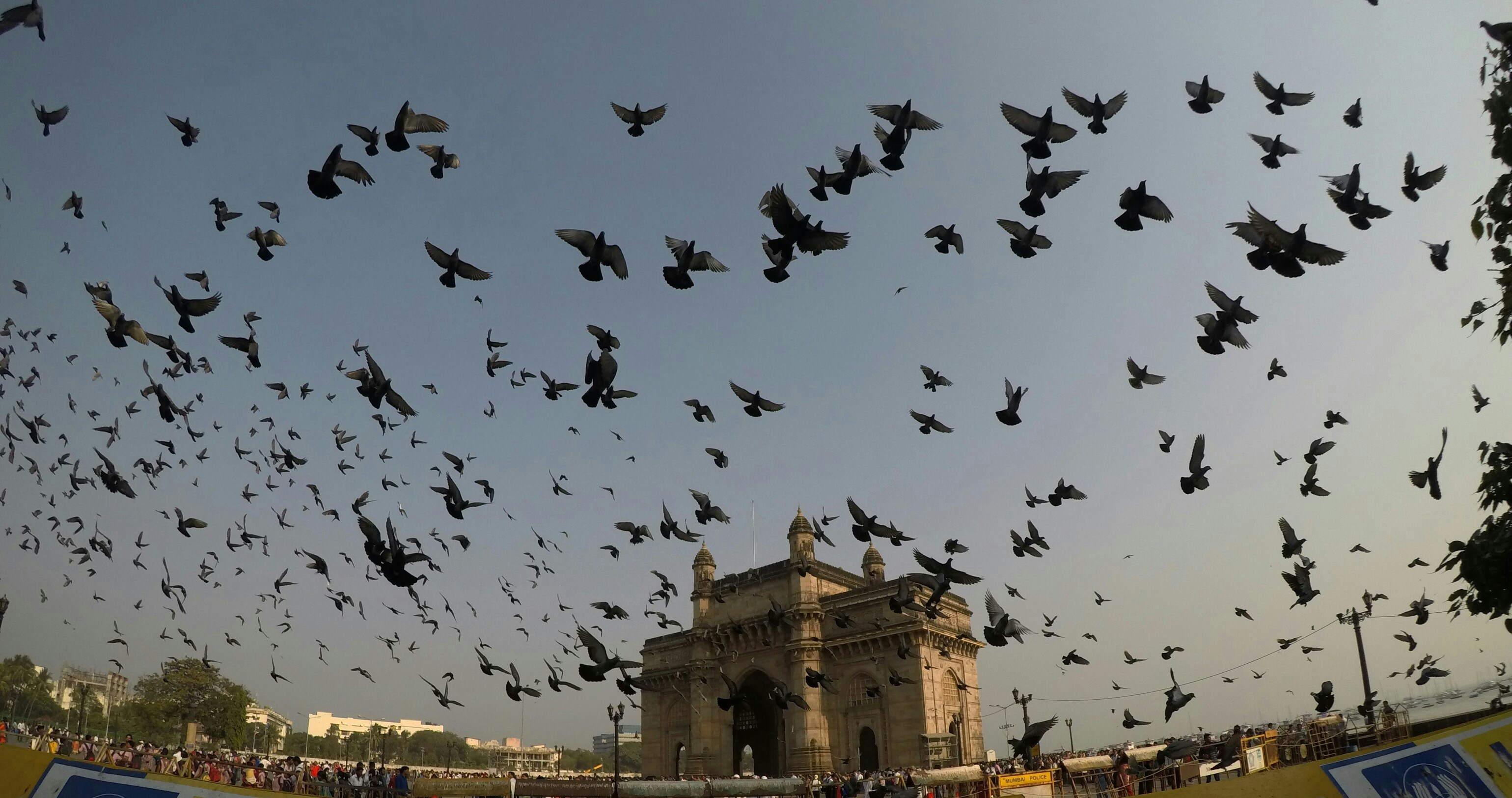 Free Unsplash photo from Shrikant Darne