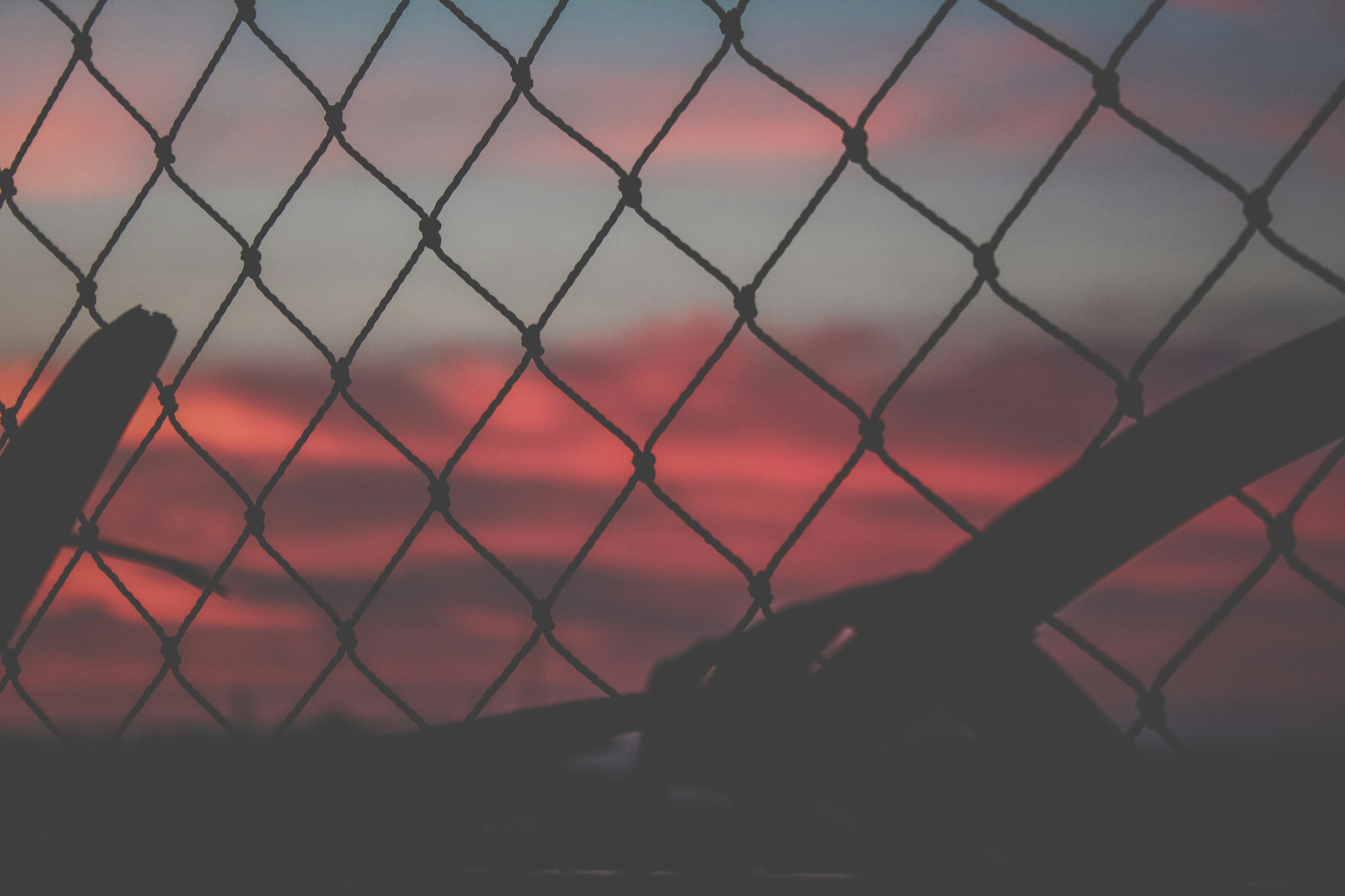 Free Unsplash photo from Pedro Affonso