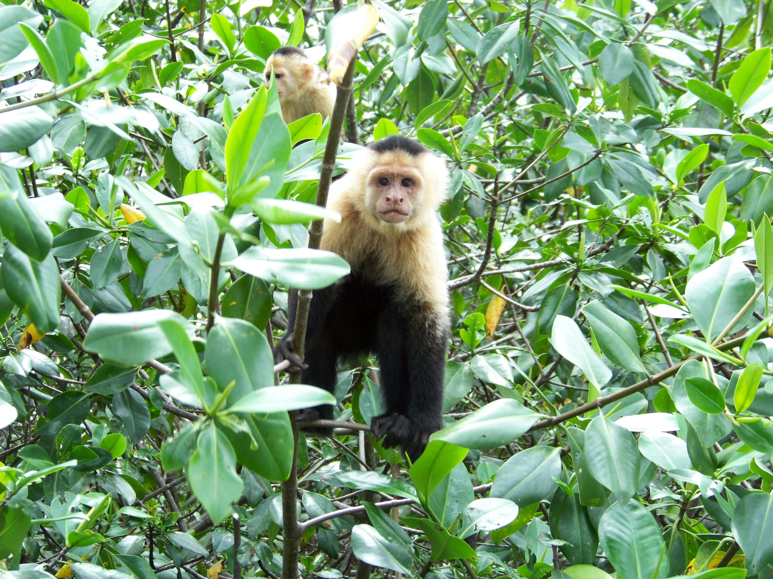 Free Unsplash photo from Jonathan Solis