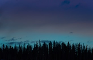 green trees