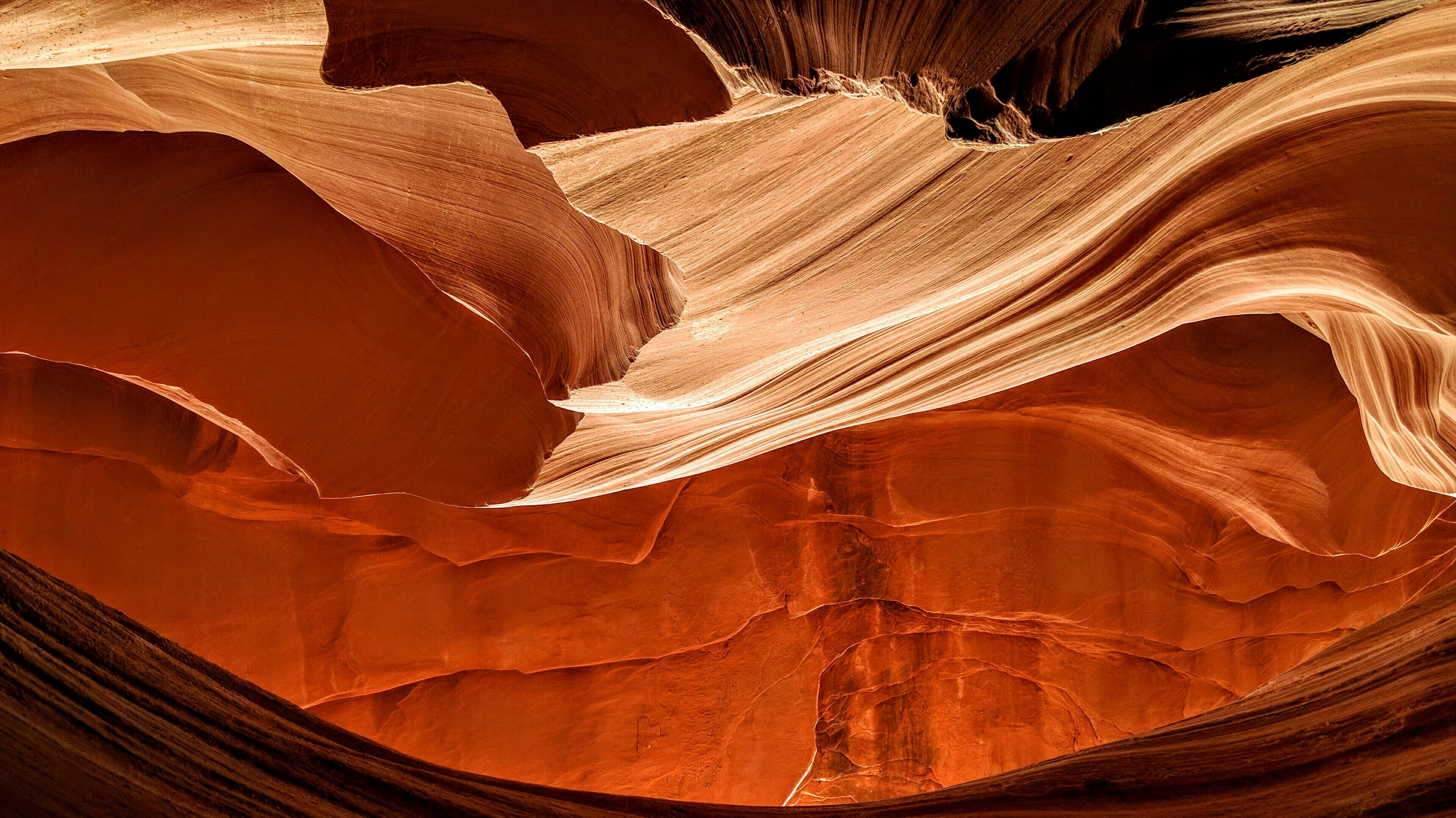 Free Unsplash photo from Paul Van Cotthem