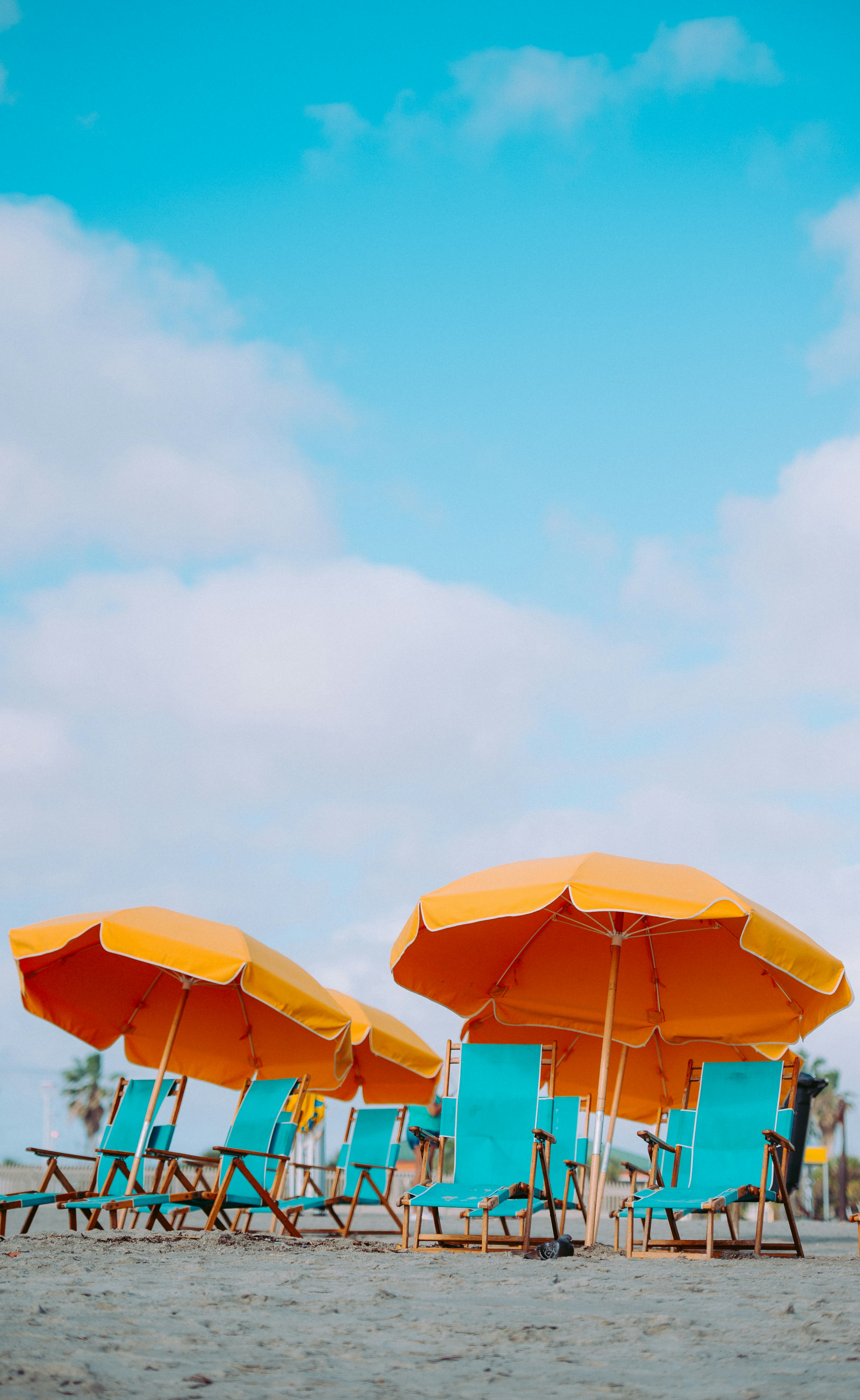 The Ultimate Guide to Finding the Best Hotel for Universal Orlando