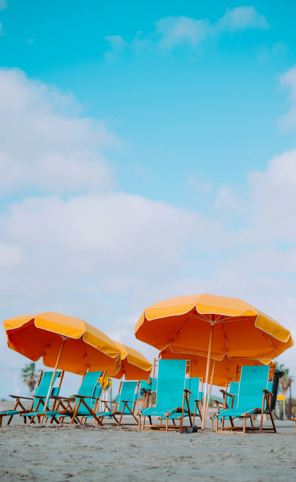 closeup photo of lounger chairs and beach umbrellas