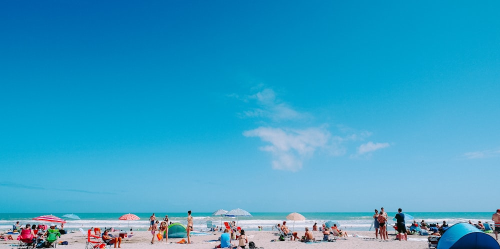 photography of people gathering beside seashore during daytime