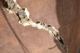 Close-up of a repaired foundation crack sealed neatly in a residential basement.