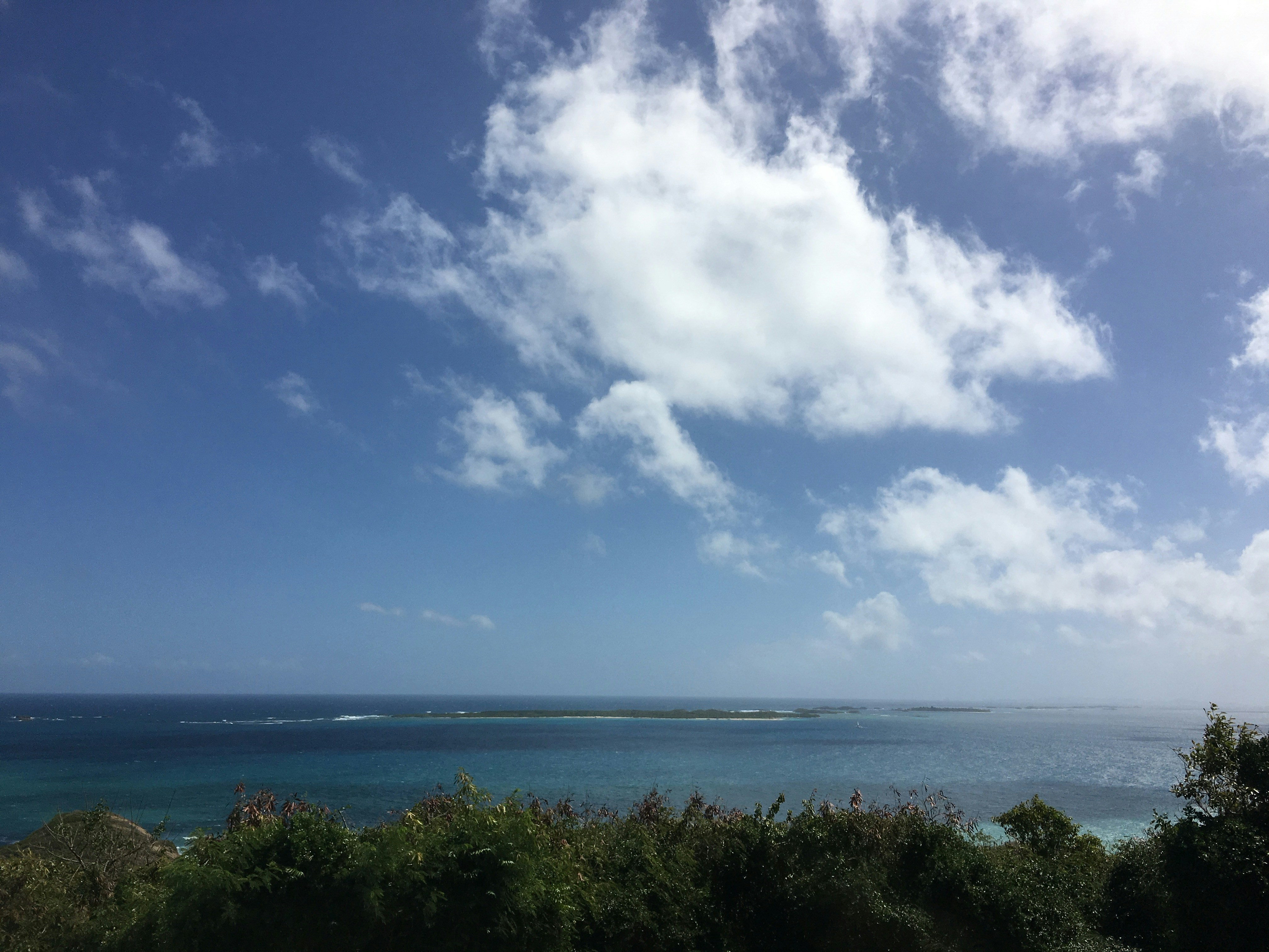 Free Unsplash photo from Walter Gonzalez