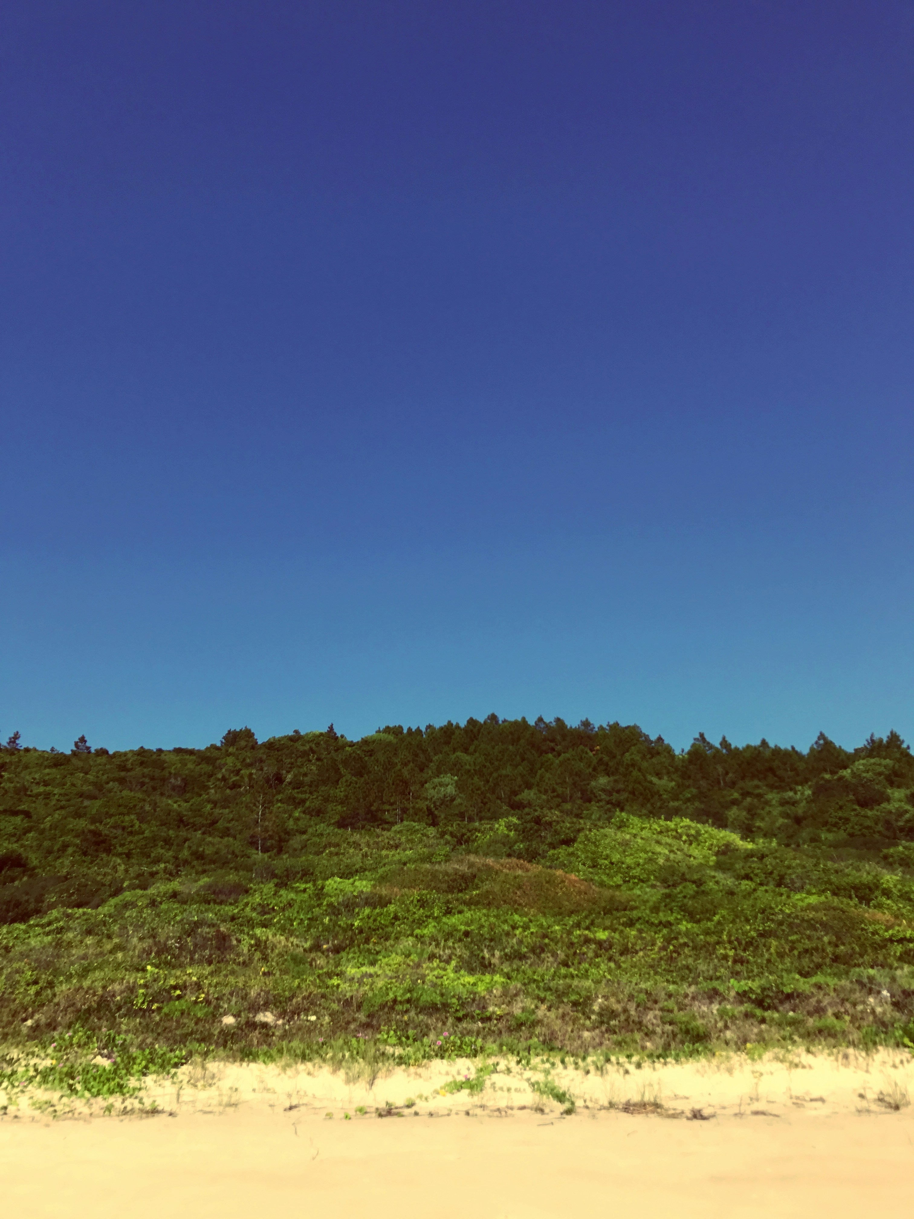 Free Unsplash photo from Maurício Fernandes