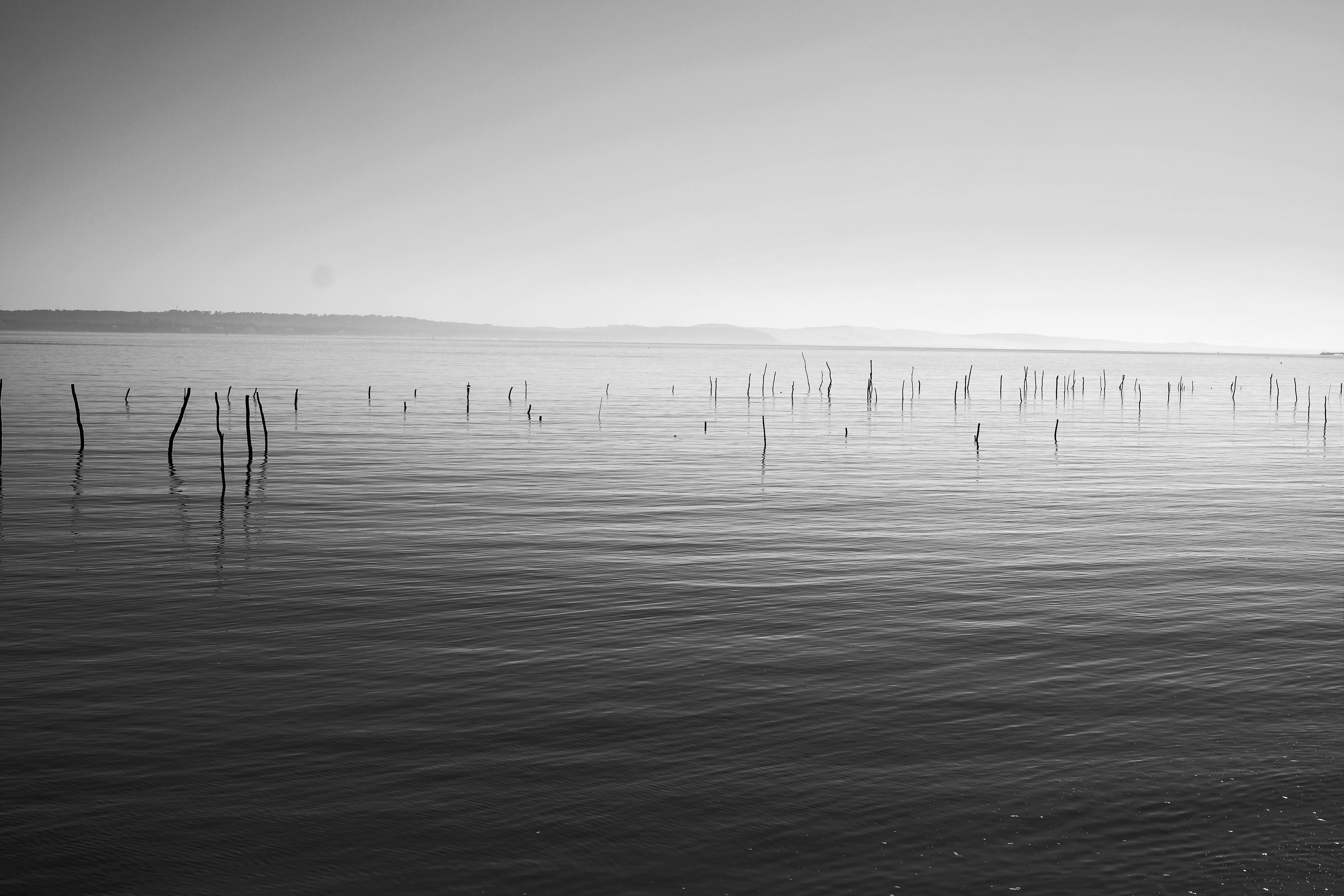 Free Unsplash photo from gilles aubert