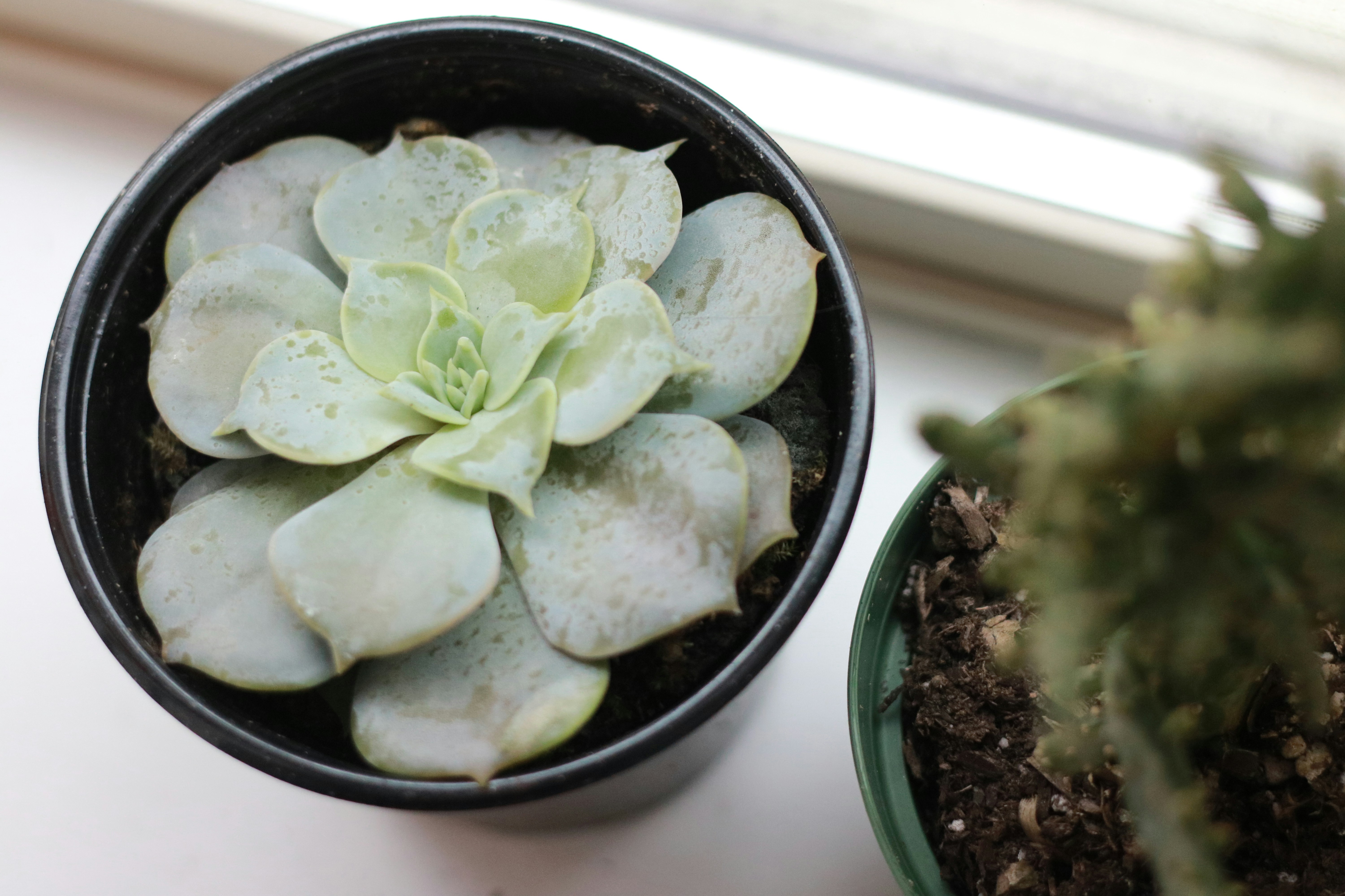 Free Unsplash photo from Austin Ellis