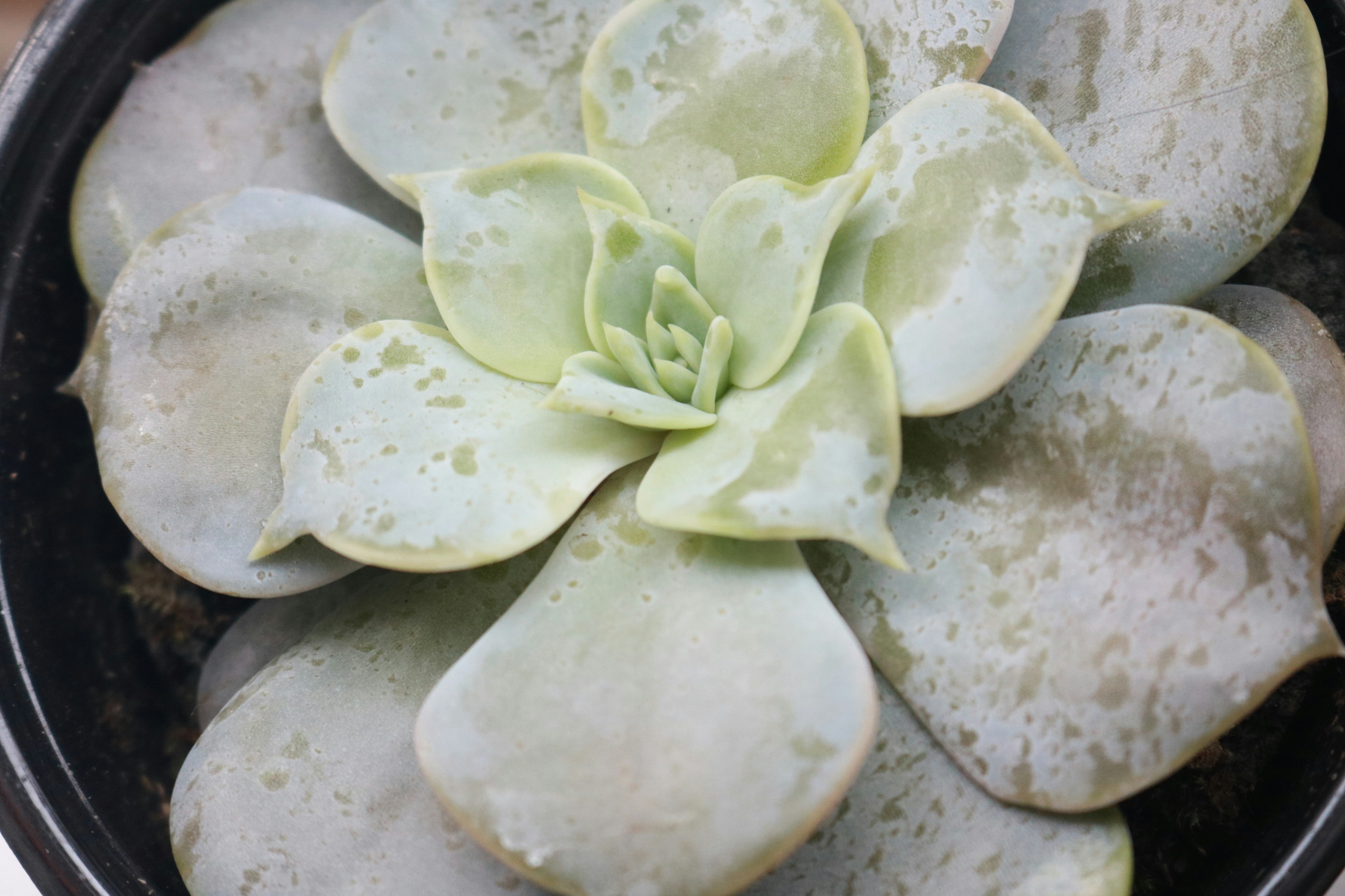 Free Unsplash photo from Austin Ellis