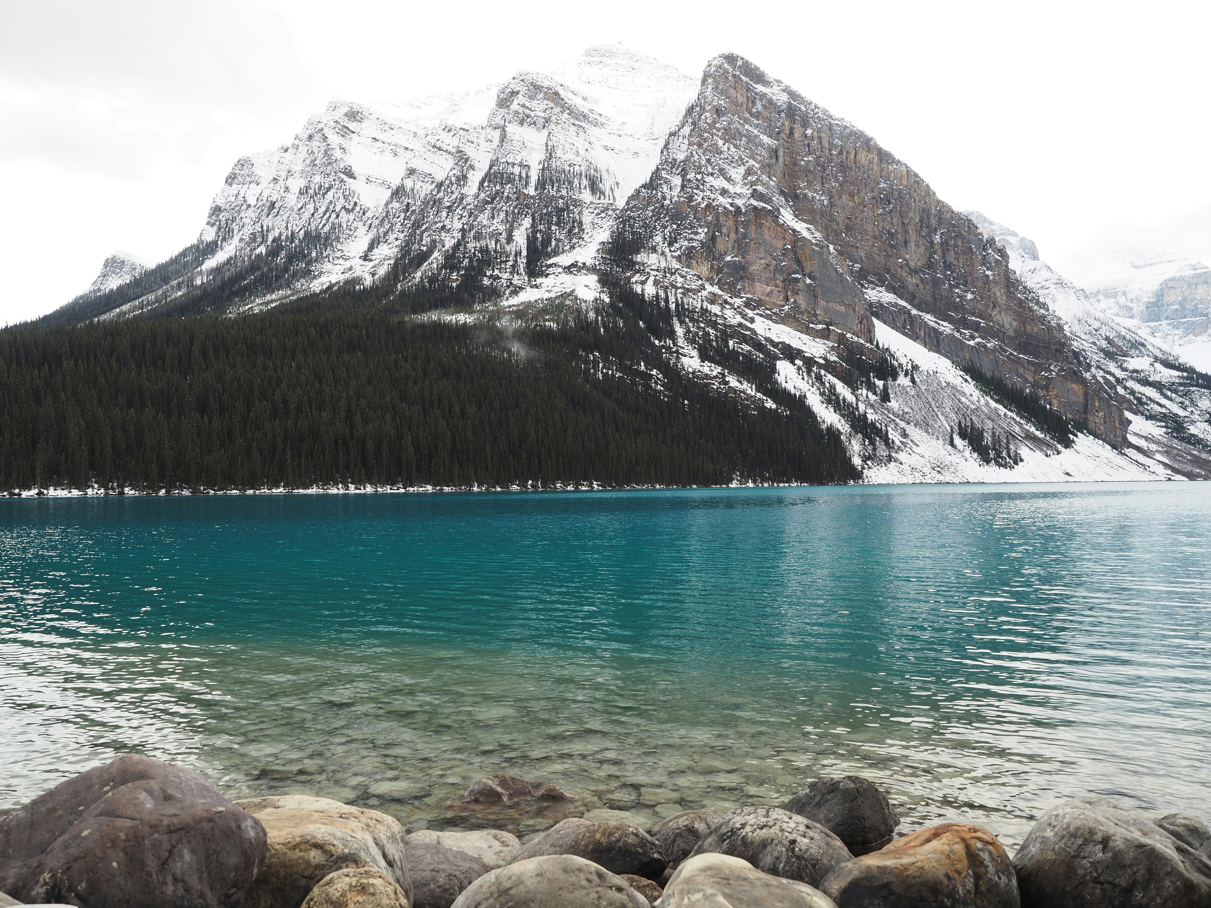 Free Unsplash photo from Greg McDonald