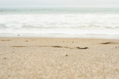 shallow focus photography of coast line sand google meet background