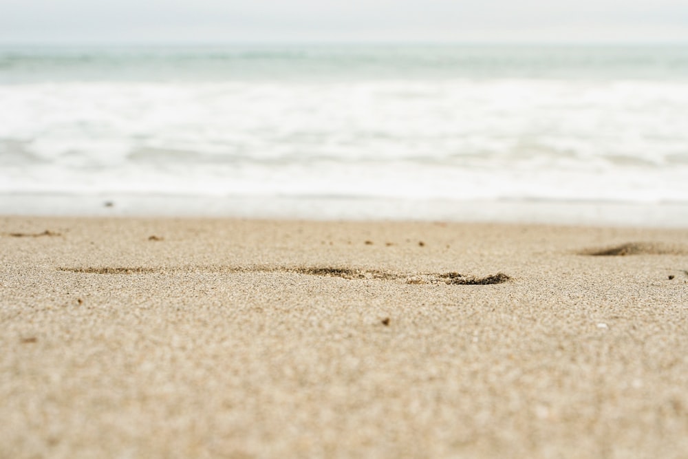 shallow focus photography of coast line