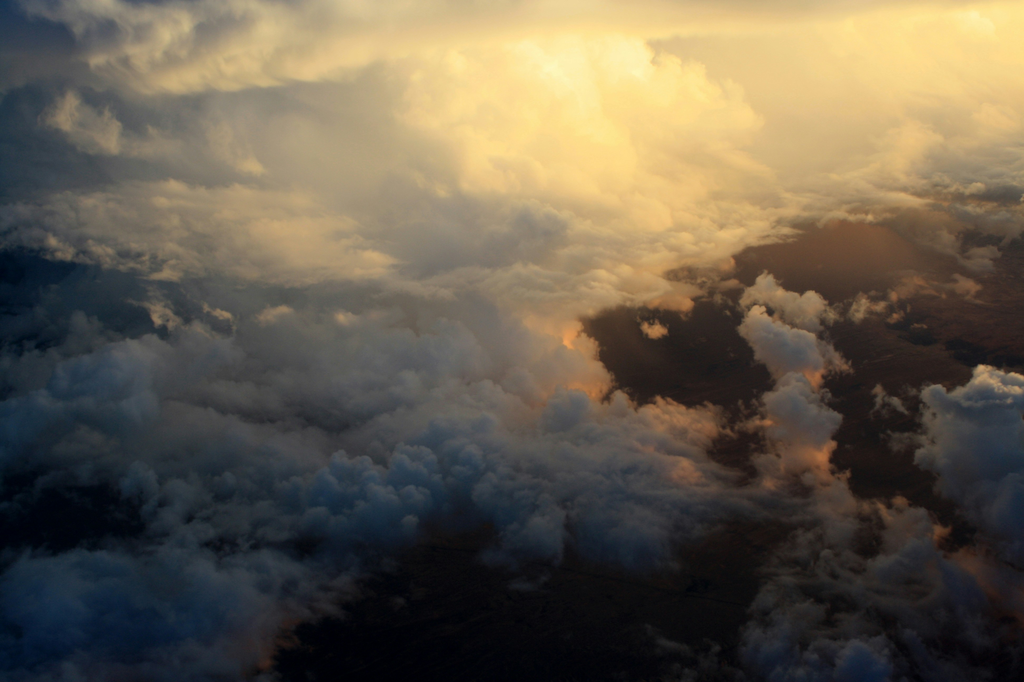 Free Unsplash photo from tiffany YOU