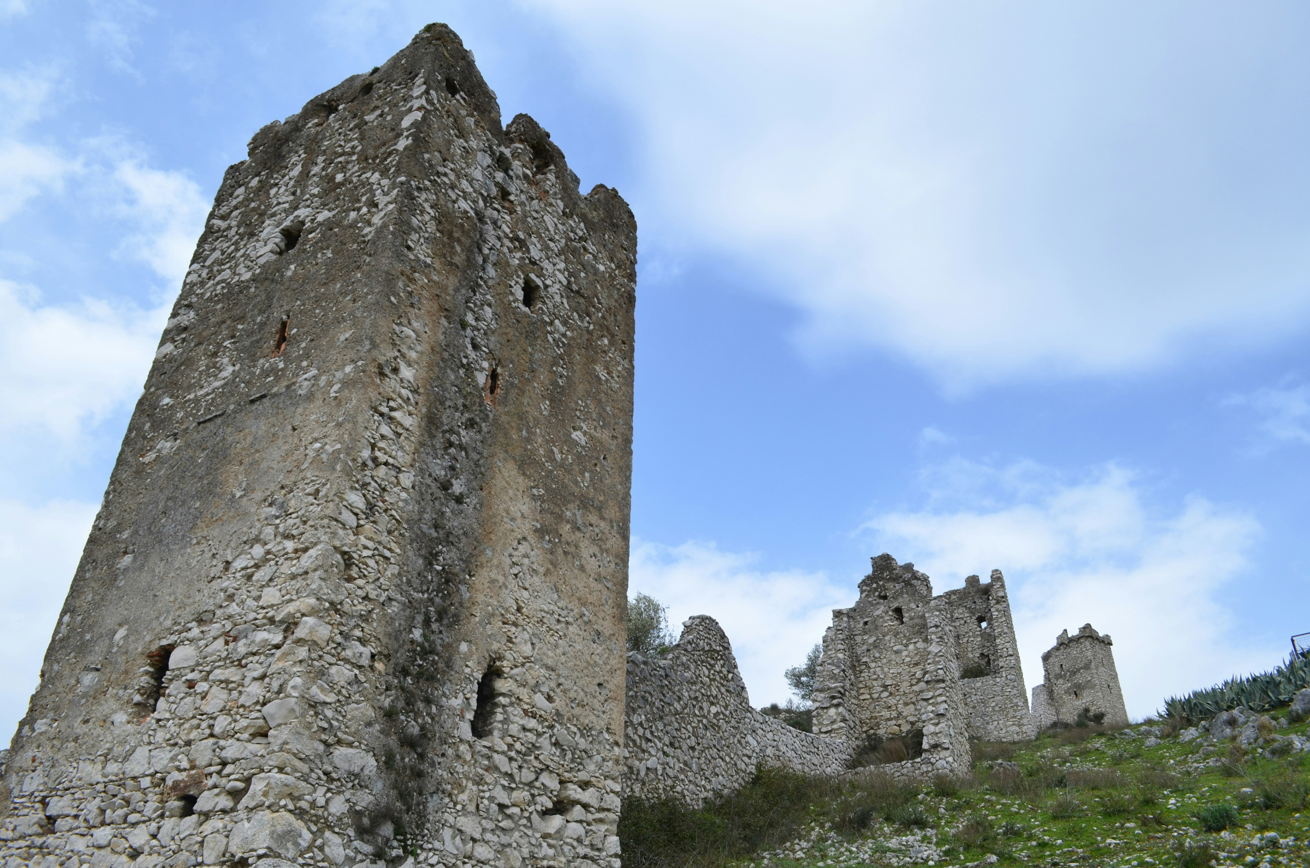 Free Unsplash photo from Laopo  Ambro