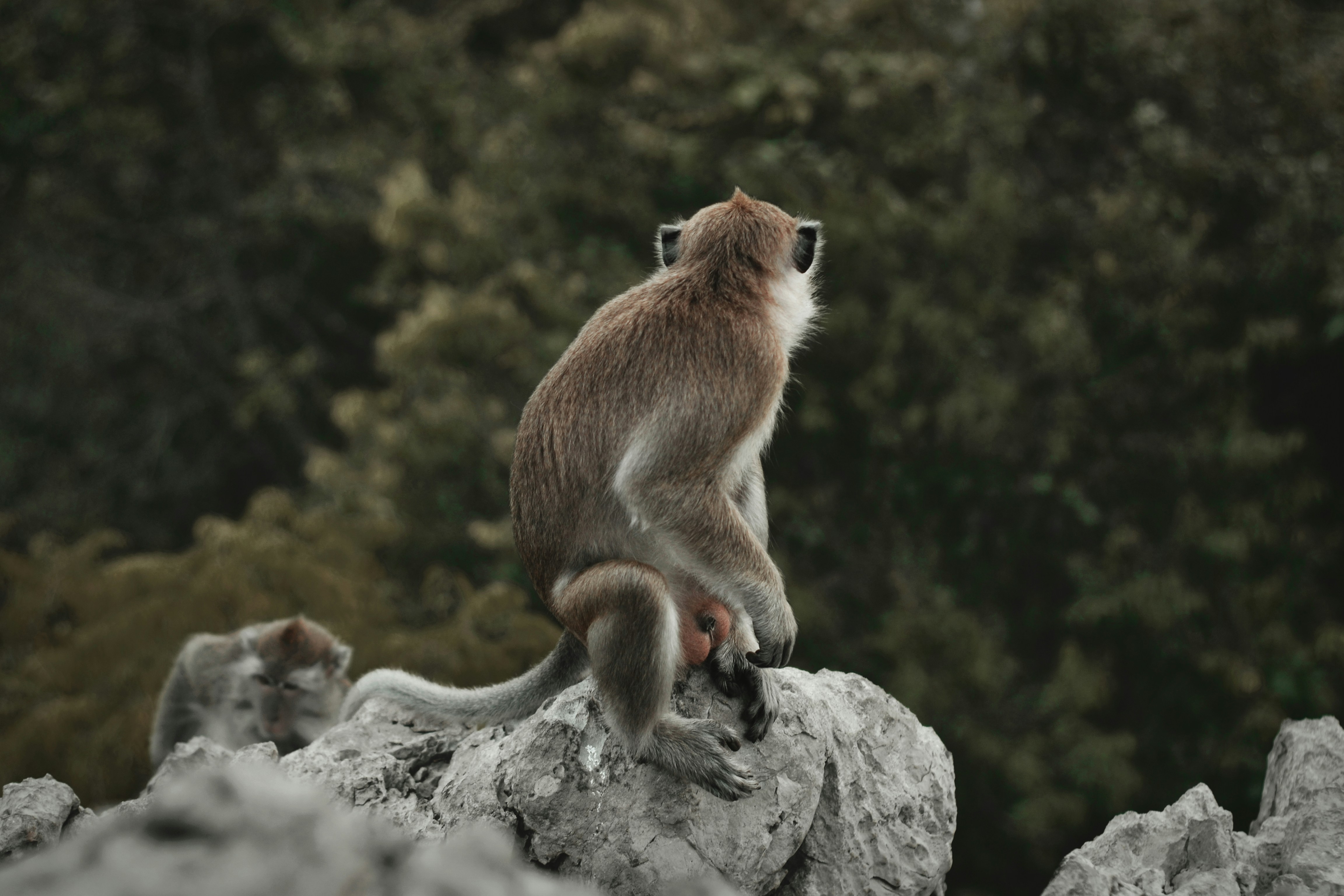 Free Unsplash photo from Muhammad Isnan Prayogi