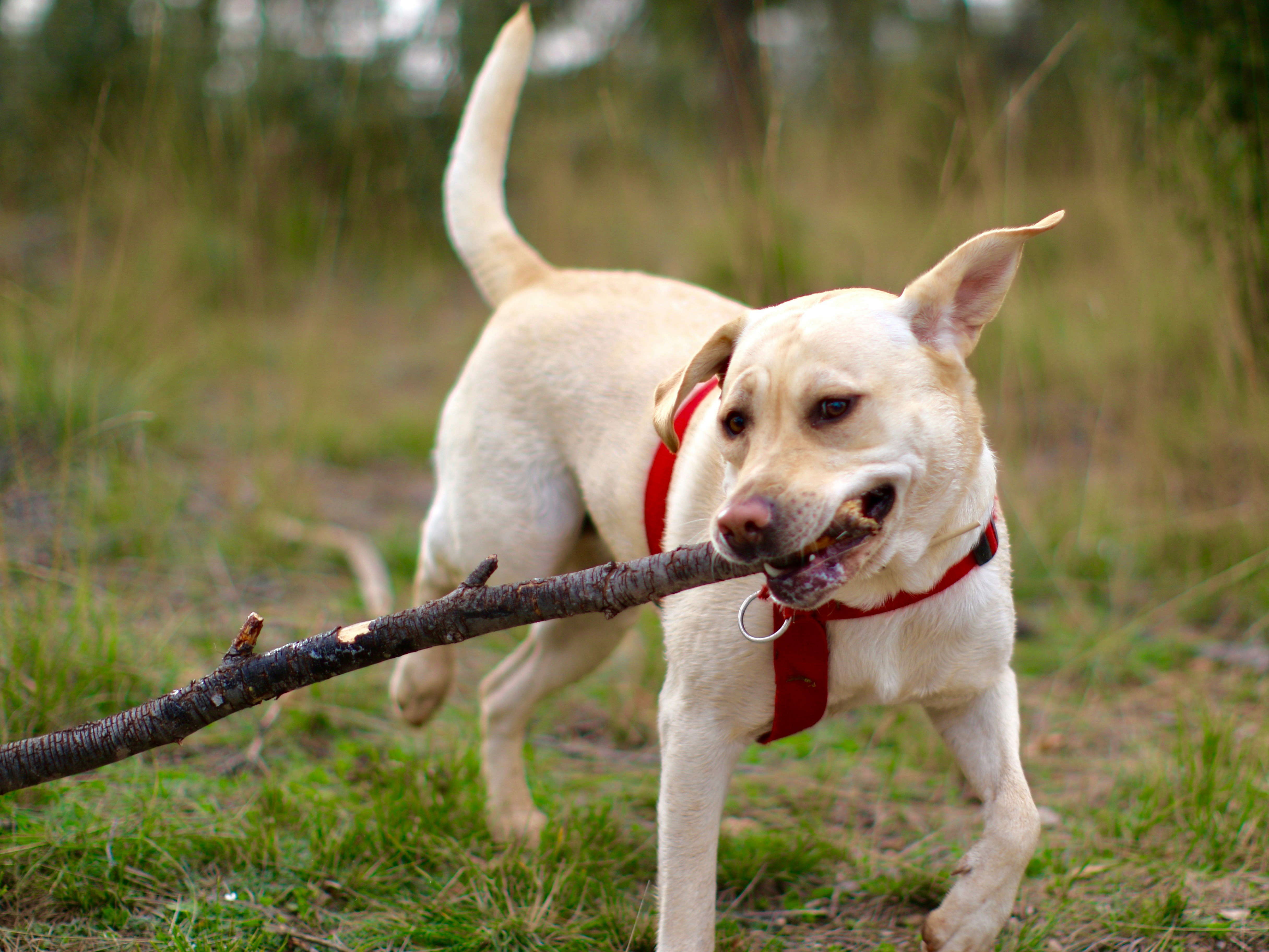 Free Unsplash photo from Jordi Zamora