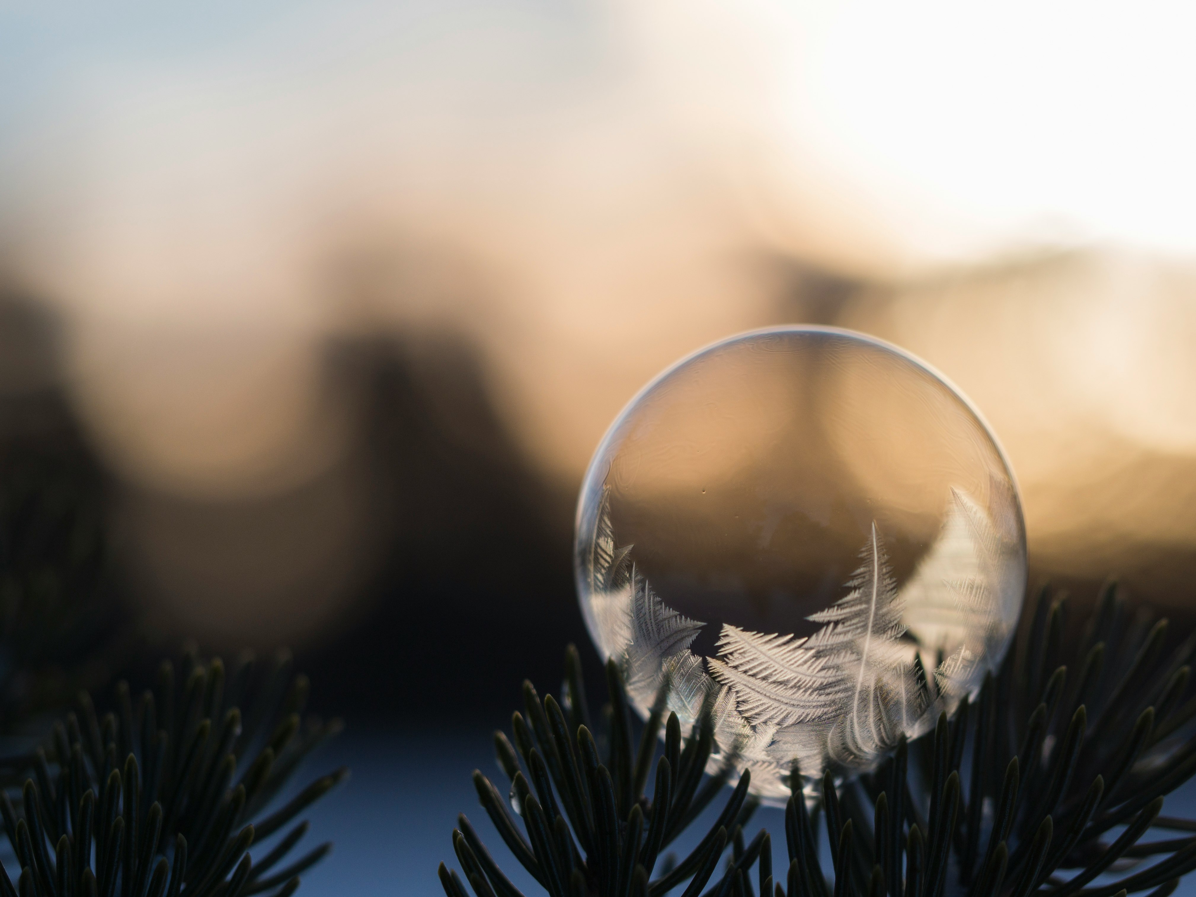 selective focus photo of clear bubble