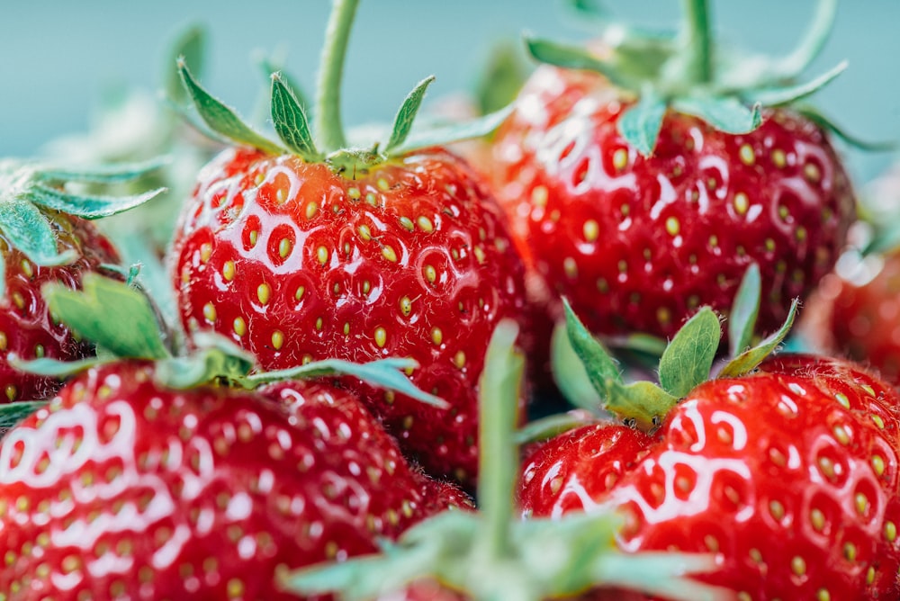 closeup photo of strawberry fruits