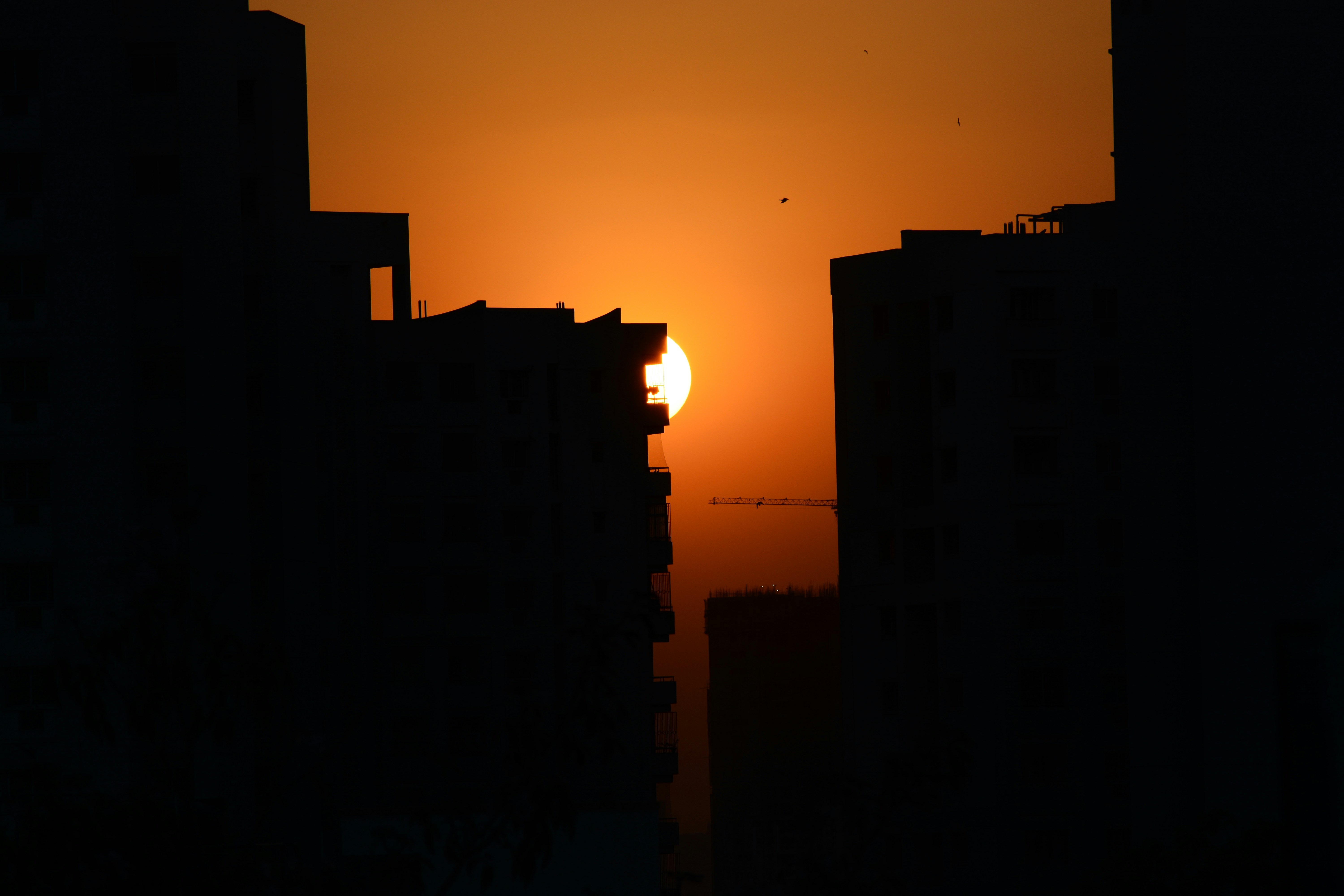 Free Unsplash photo from Deepak