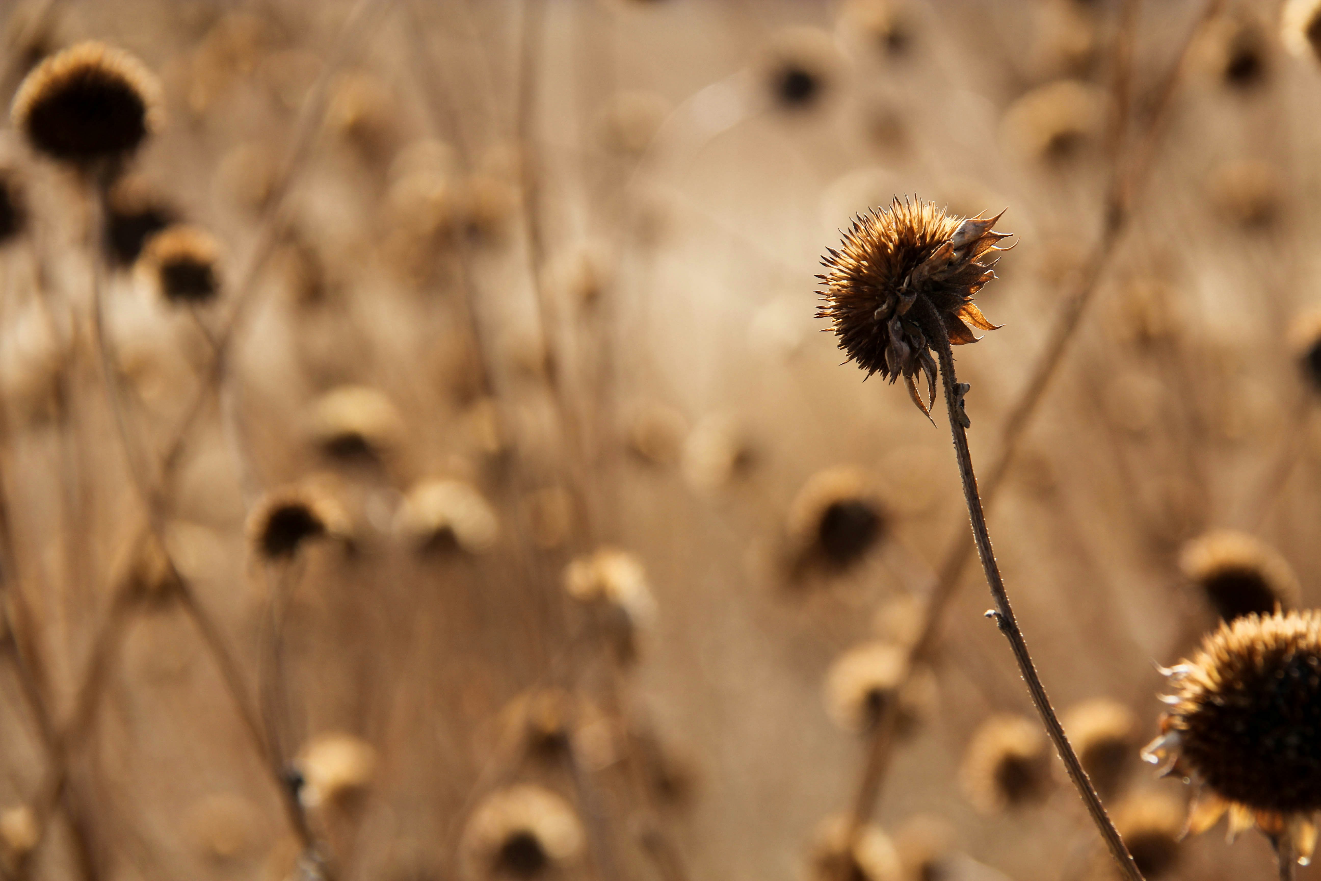 Free Unsplash photo from Erica Lewis