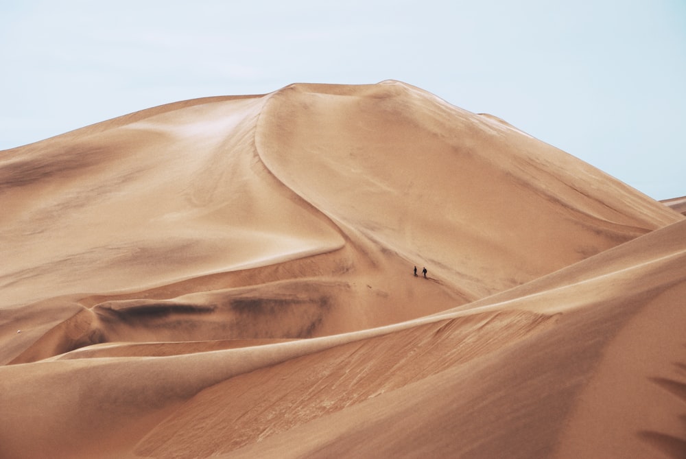 Due persone in piedi nel campo desertico durante il giorno