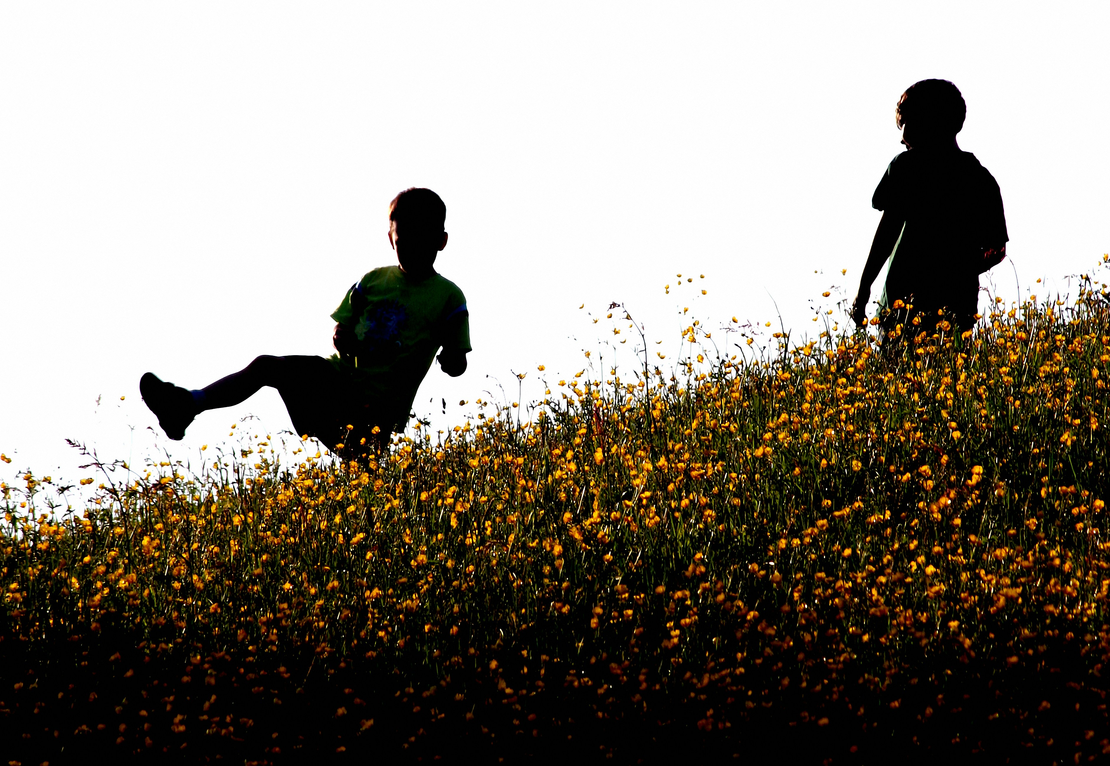 Two young siblings holding hands and running through a field of wildflowers at sunset.