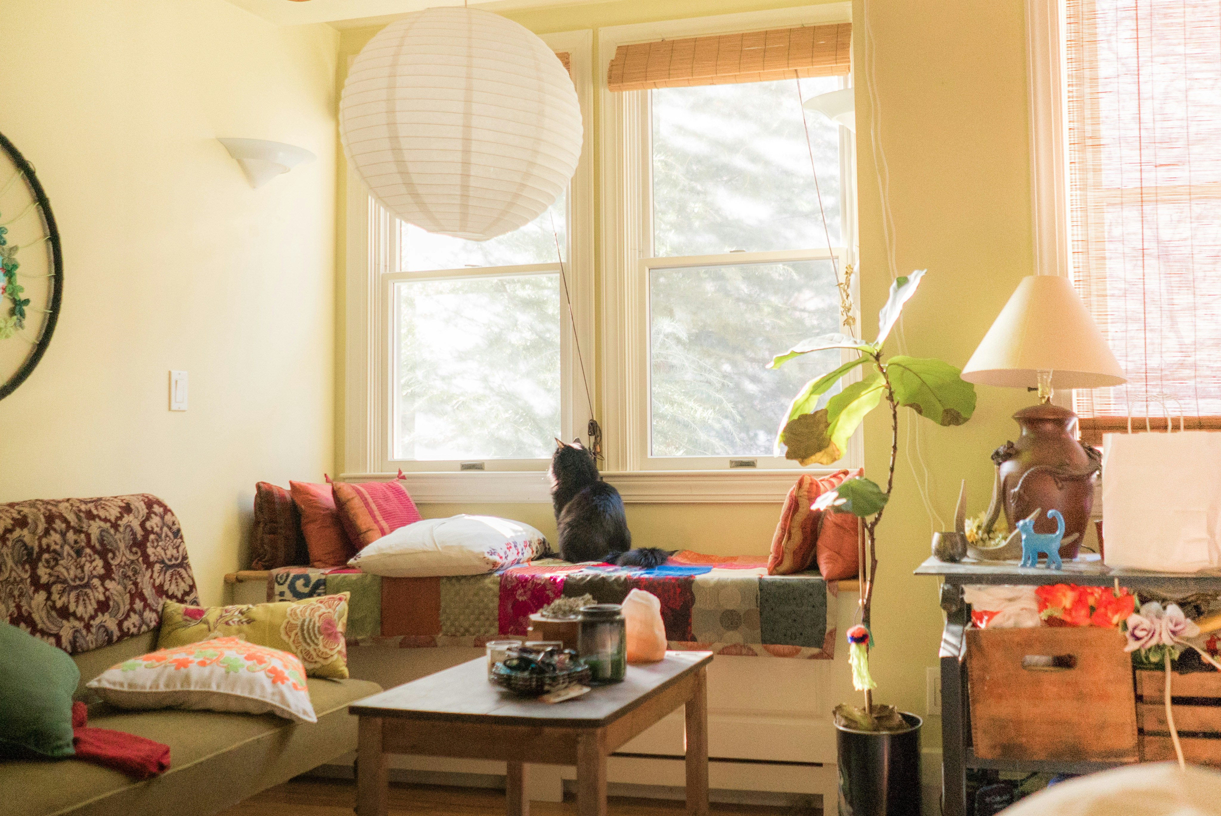 Free Unsplash photo from Helio Ha