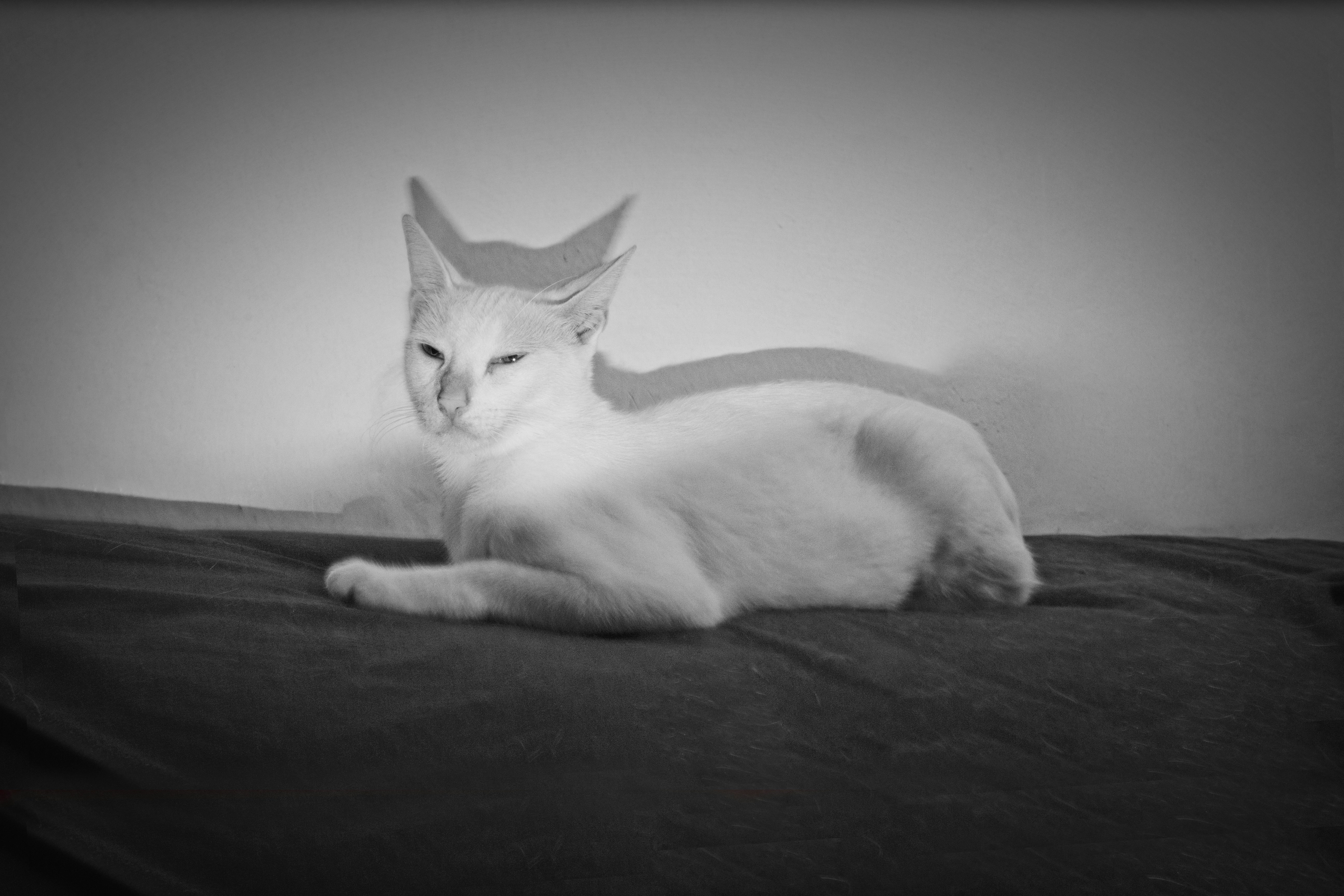 Free Unsplash photo from Haina Baas