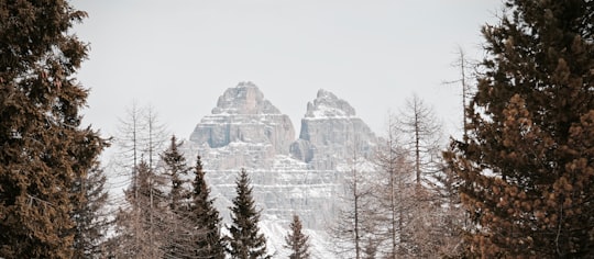 pine trees near snow-covered mountain during daytime in Lake Misurina Italy
