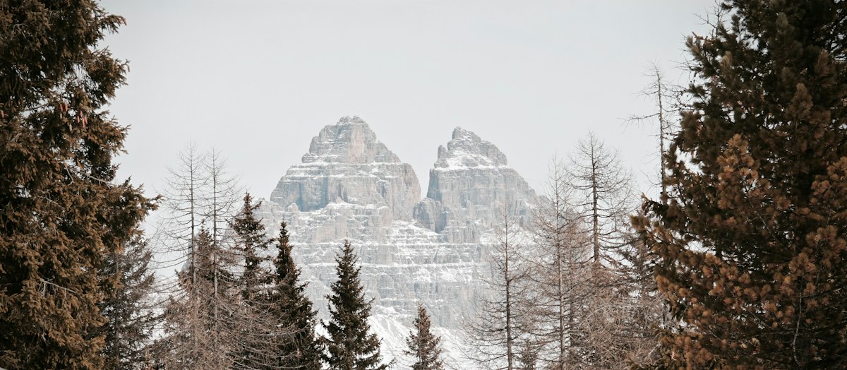 Alberi di pino carichi di neve con le cime innevate delle Alpi sullo sfondo