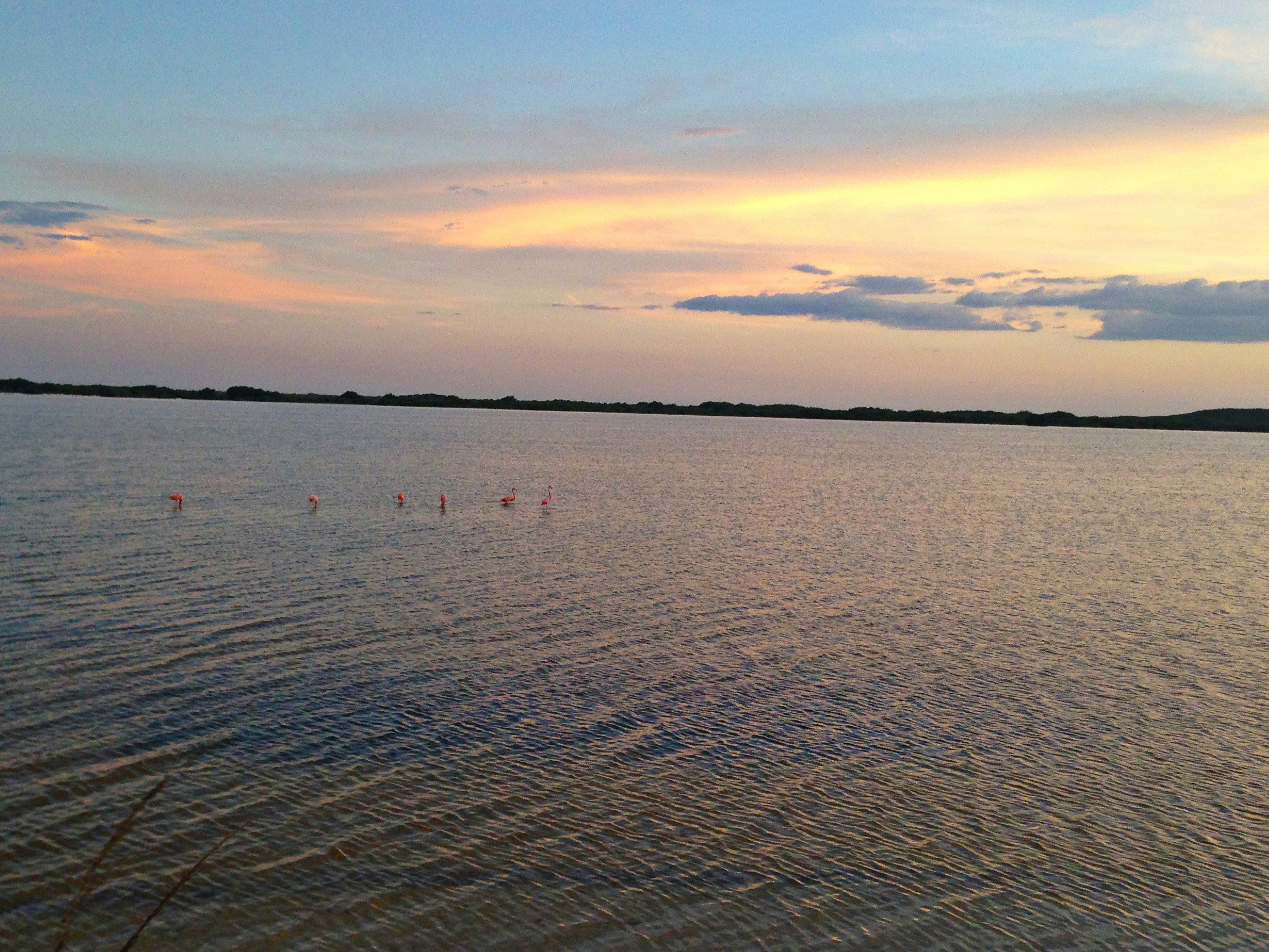 Free Unsplash photo from Haina Baas