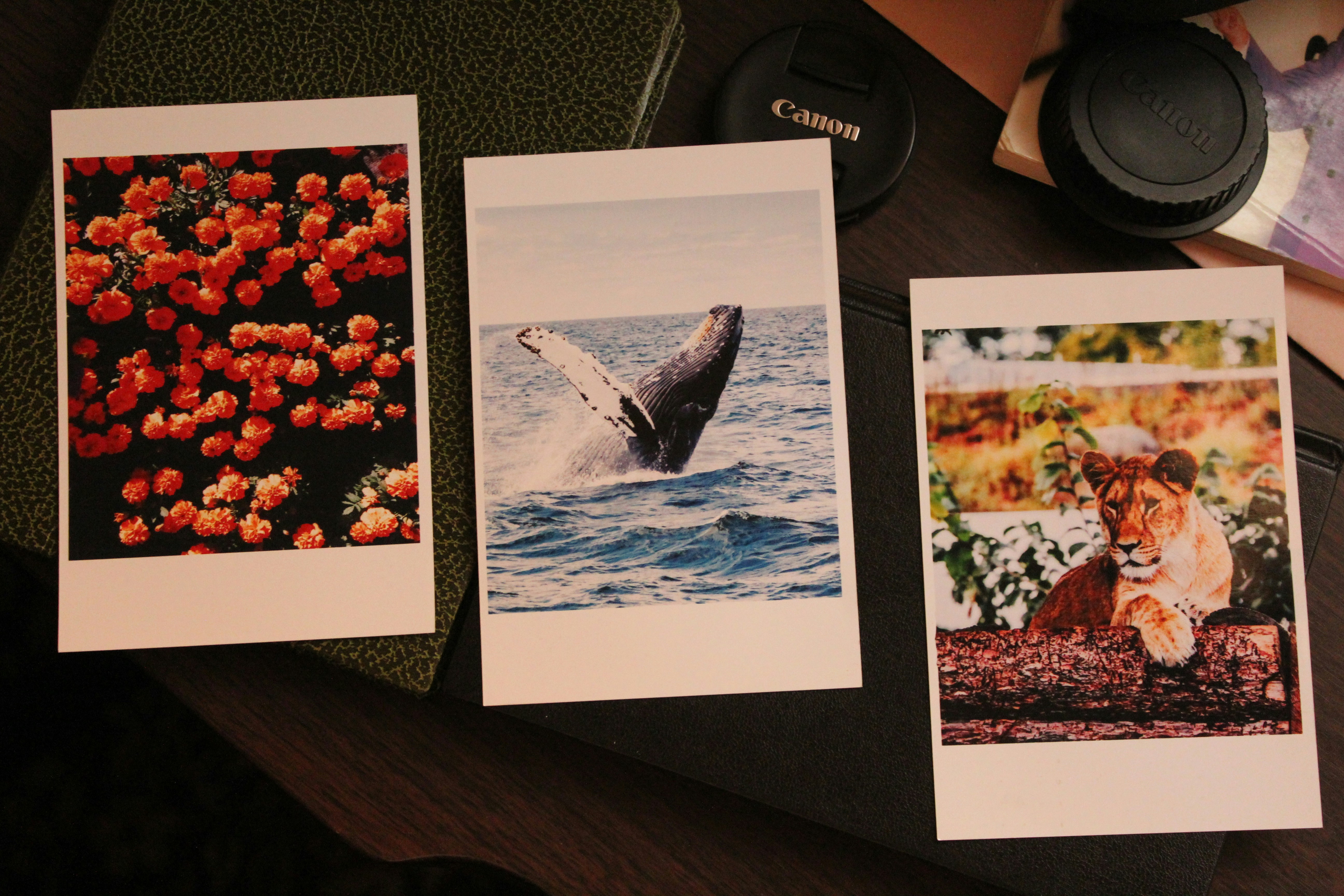 Free Unsplash photo from Houssam ElMountassir