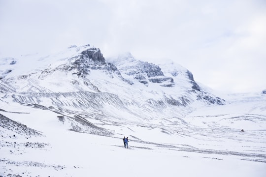 two person walking on snow covered ground next to mountains in Athabasca Glacier Canada