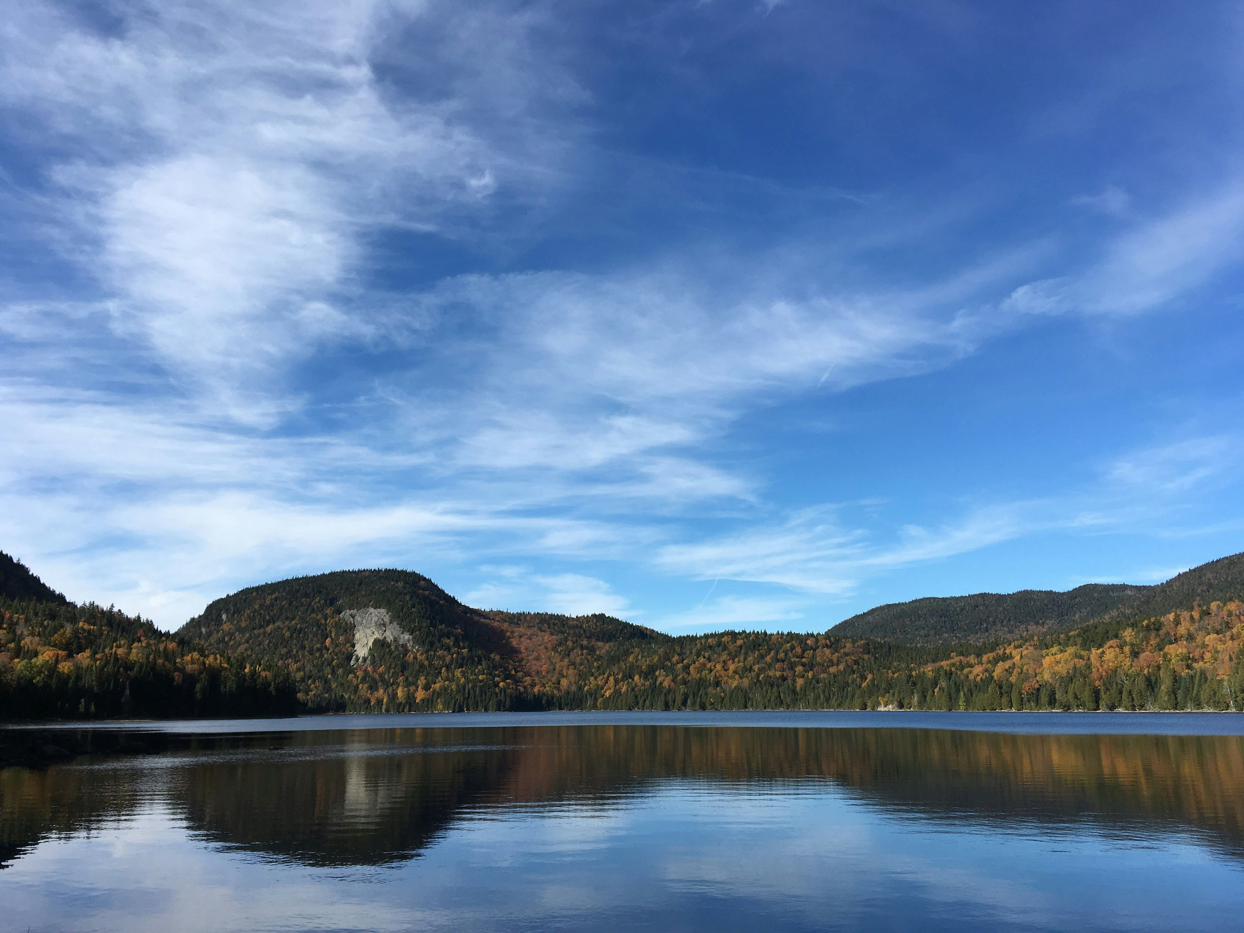 Free Unsplash photo from Toby Lorne