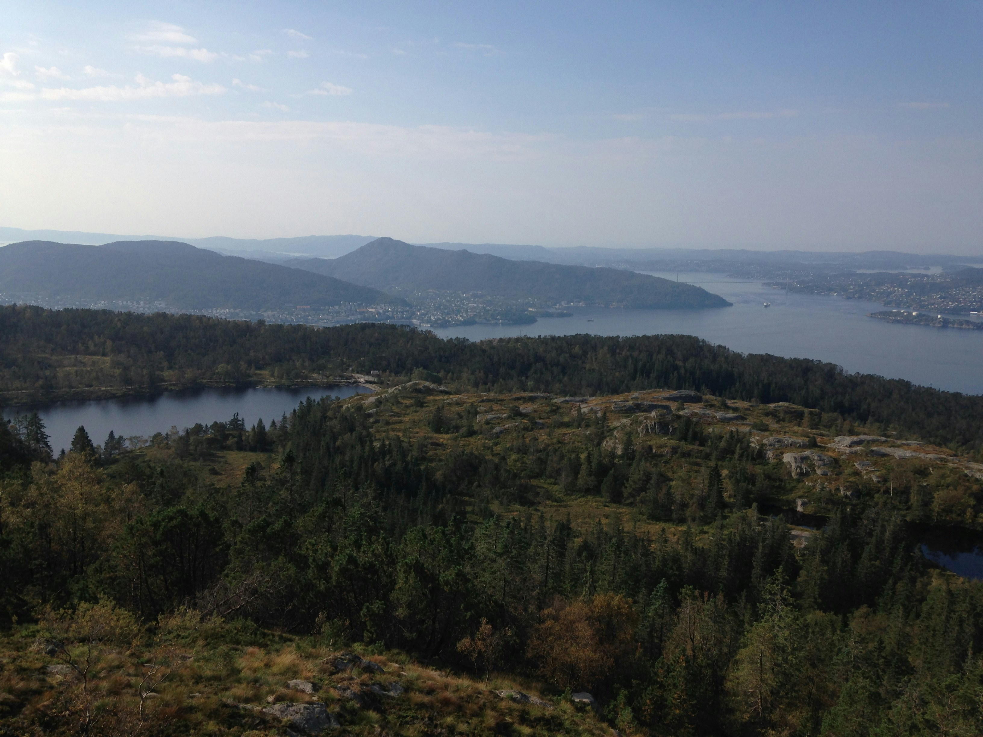 Free Unsplash photo from Toby Lorne