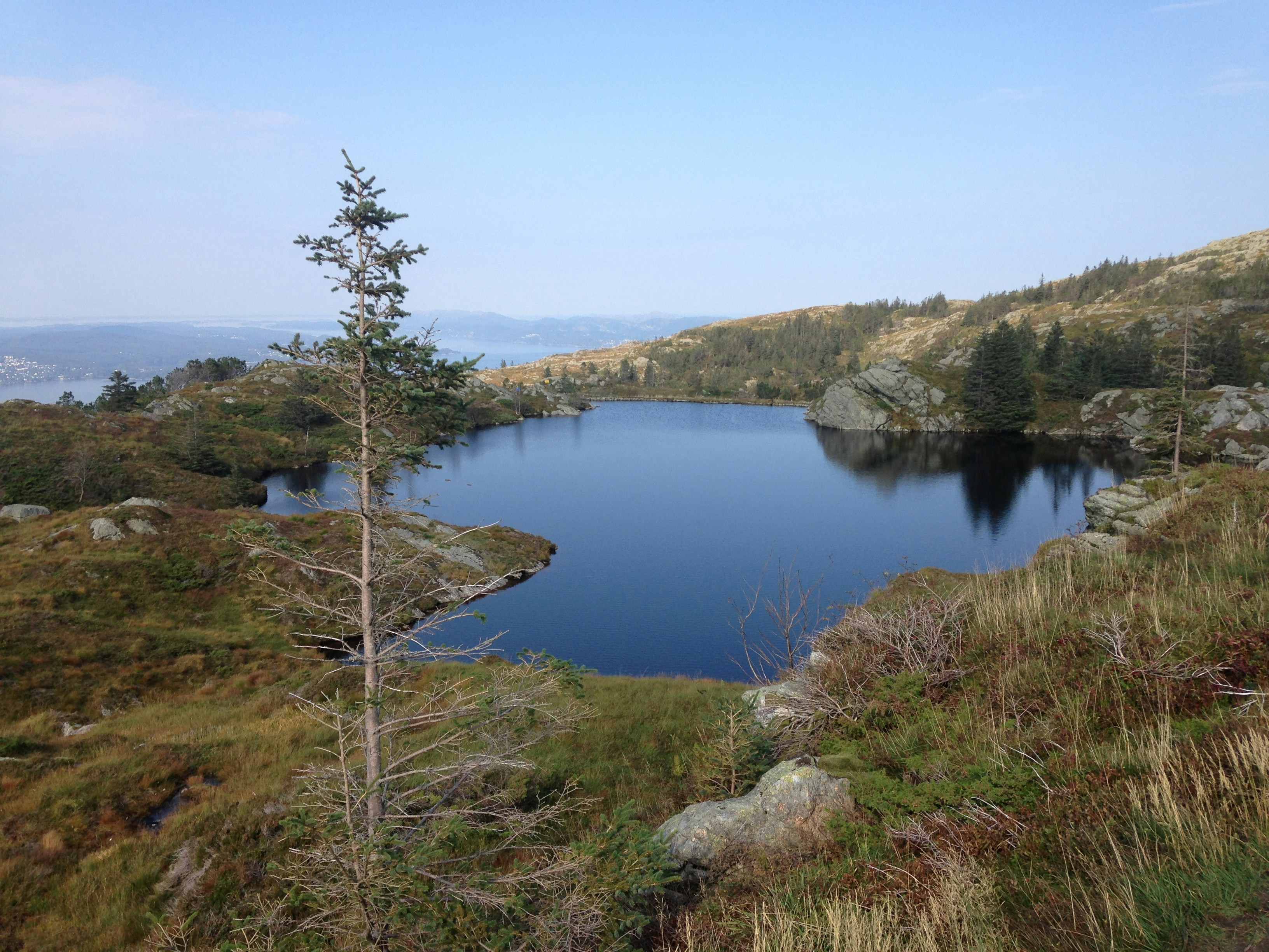 Free Unsplash photo from Toby Lorne