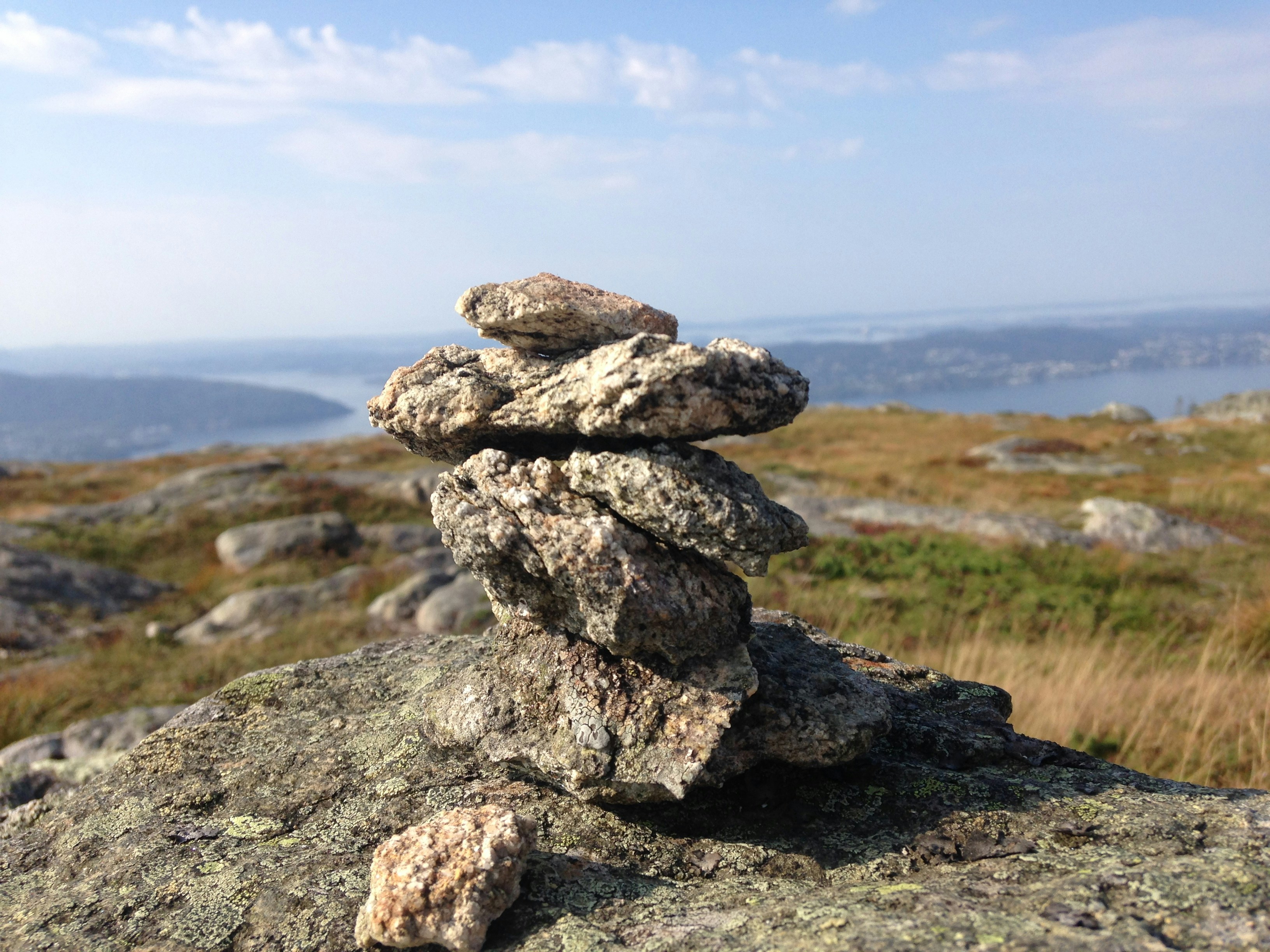 Free Unsplash photo from Toby Lorne